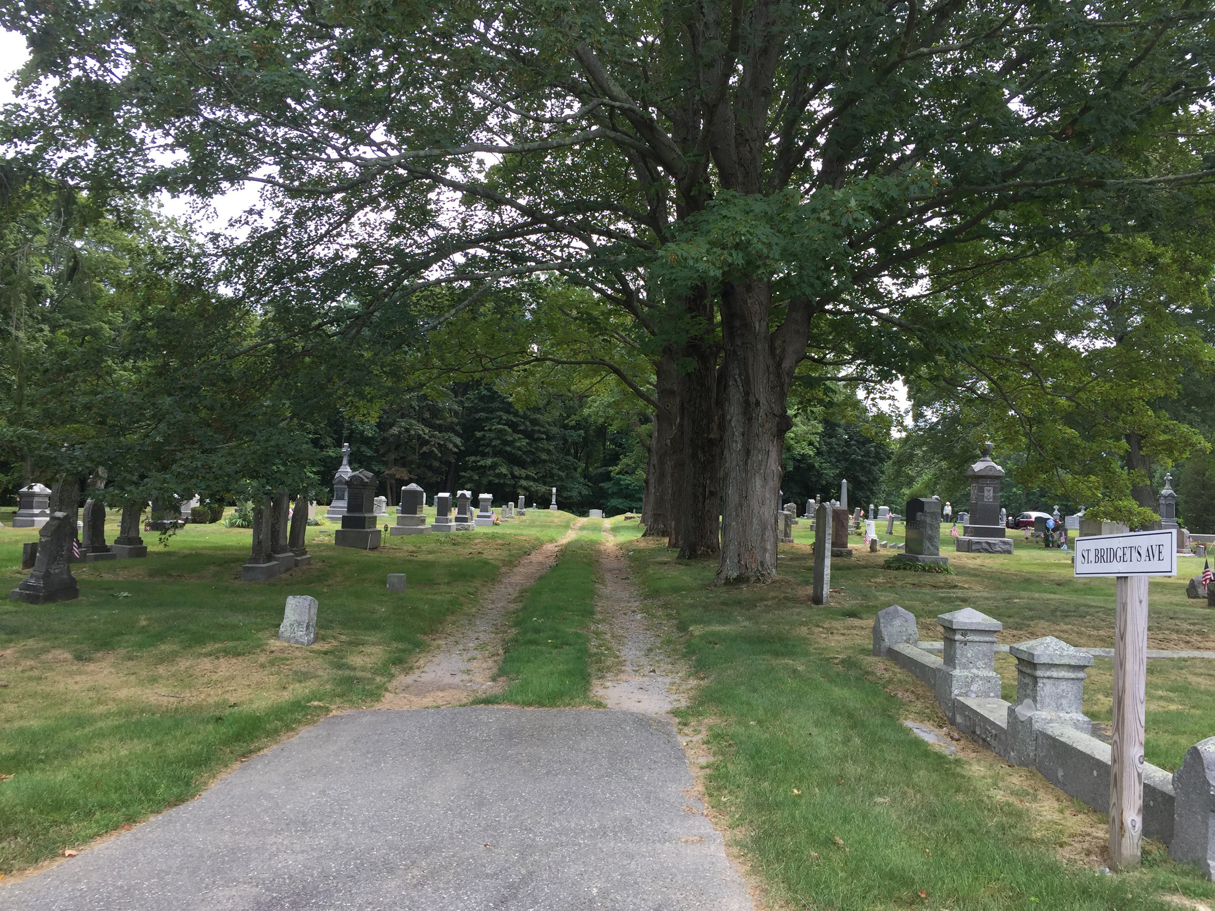  Before view of Zone A at St. Paul Parish Cemetery in Hingham, MA 