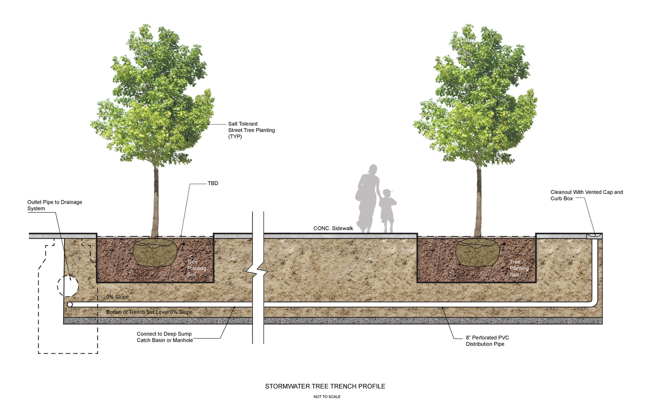  Willard Street - Stormwater Tree Trench Diagram 