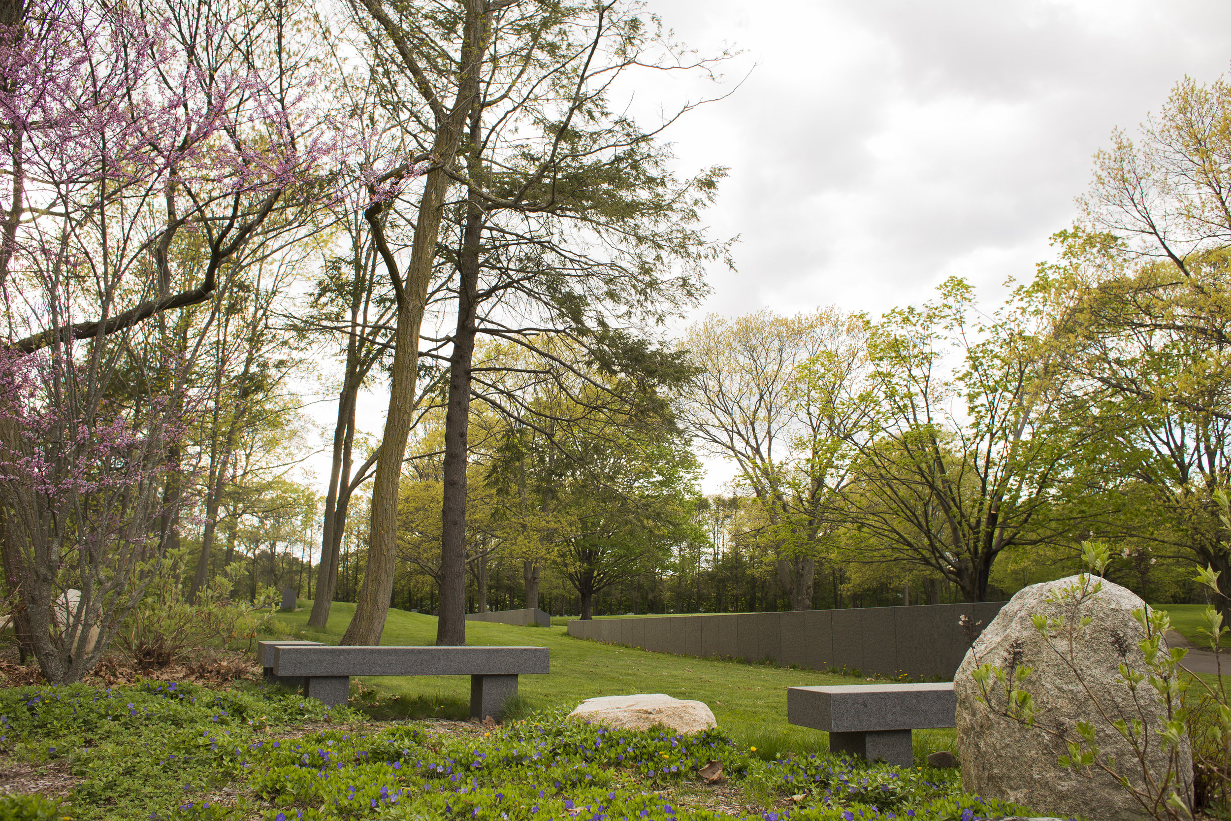  Walnut Hills Cemetery (Photo by Ngoc Doan) 