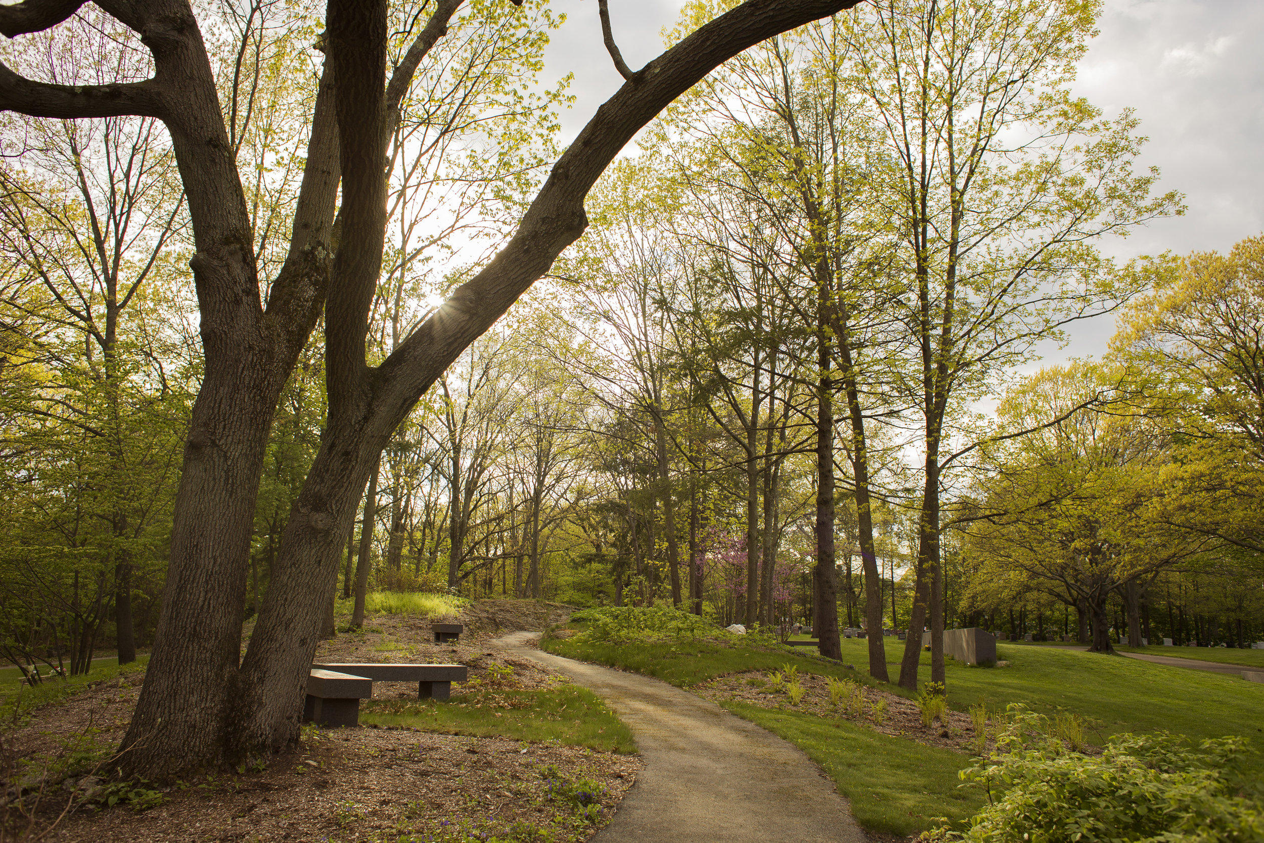 Walnut Hills Cemetery (Photo by Ngoc Doan)