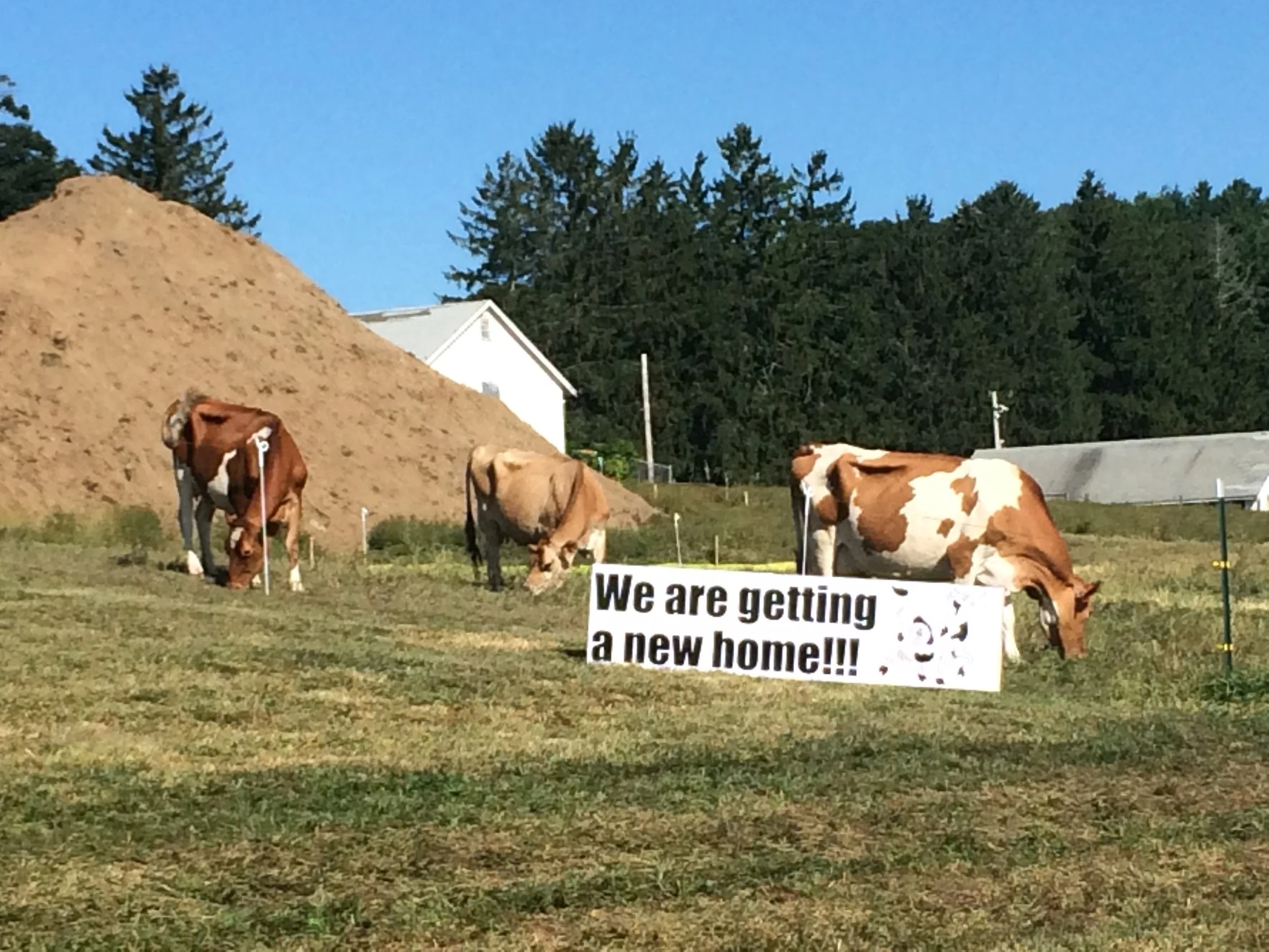Groundbreaking held for new Bristol Aggie High School