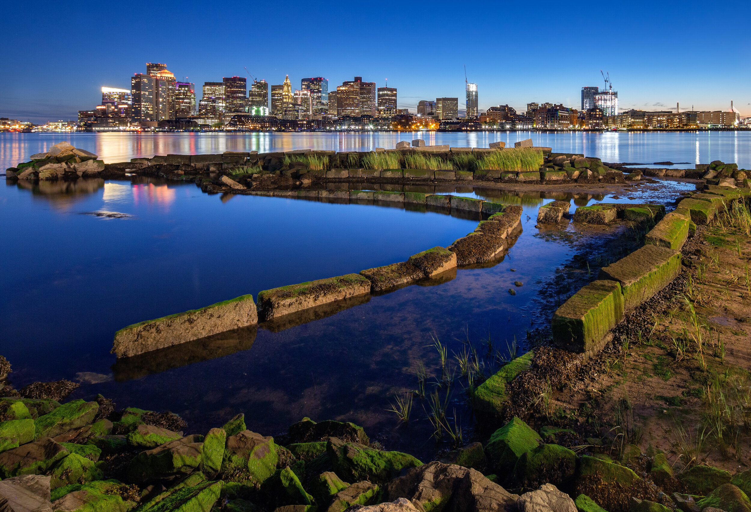  View of Clippership Wharf Living Shoreline (Photo by Ed Wonsek) 