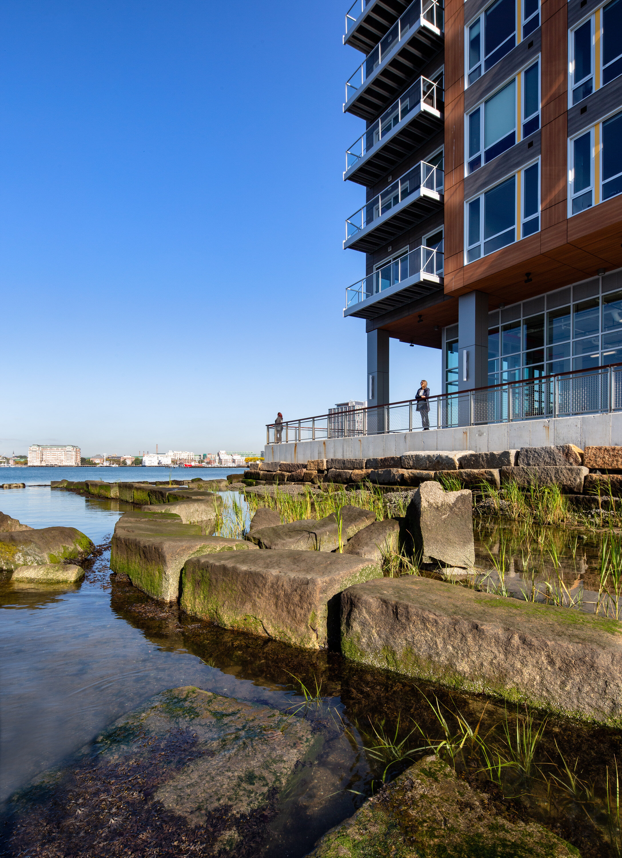  View of Clippership Wharf from living shoreline (Photo by Ed Wonsek) 