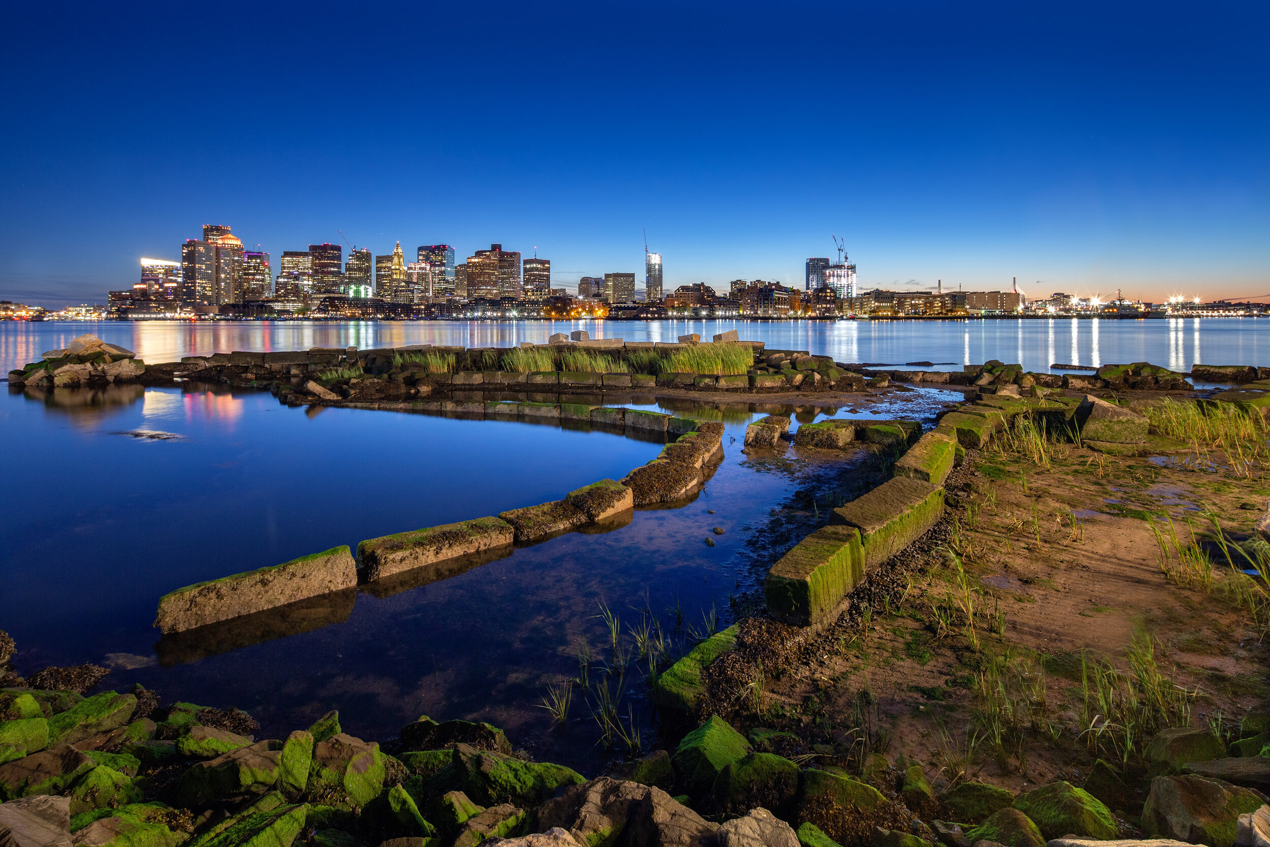 A Living Shoreline Takes Shape in East Boston
