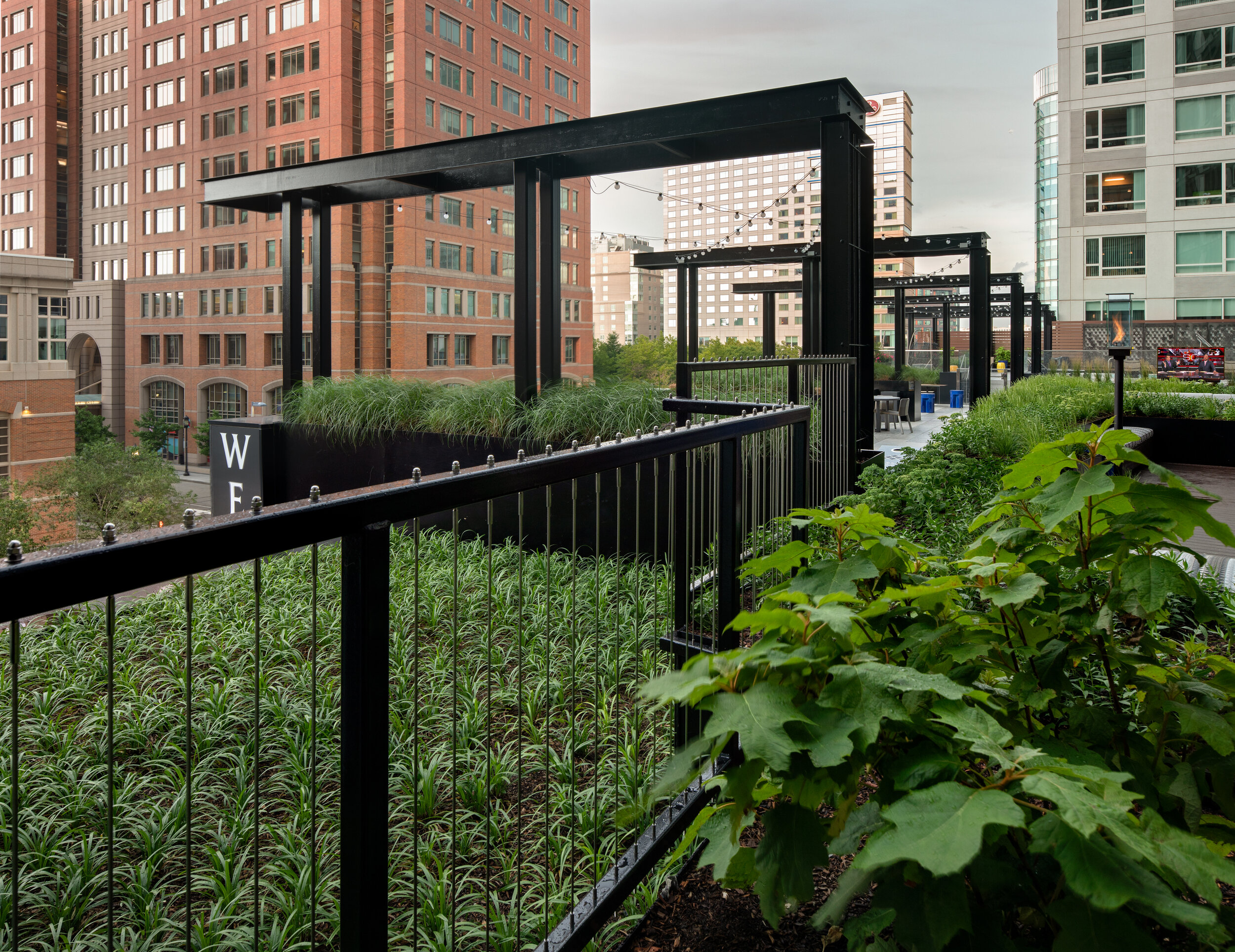  Gables Seaport Amenity Terrace Green Roof (Photo by Ed Wonsek) 