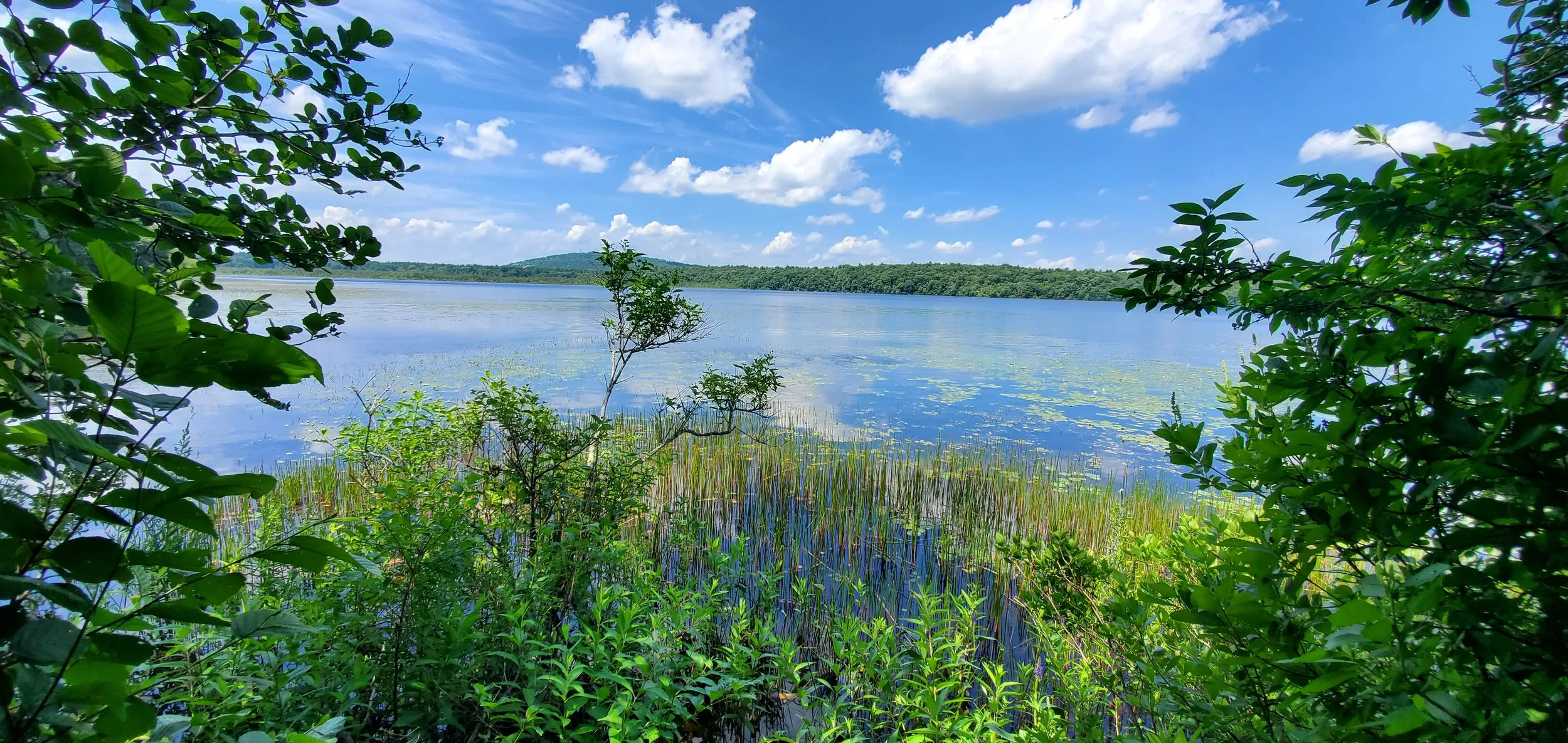 PONKAPOAG POND MASTER PLAN