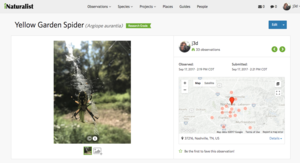 iNaturalist.png