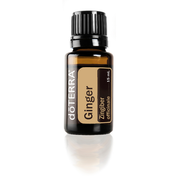 Ginger.png