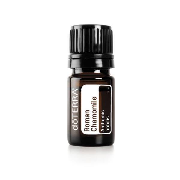 RomanChamomile.png
