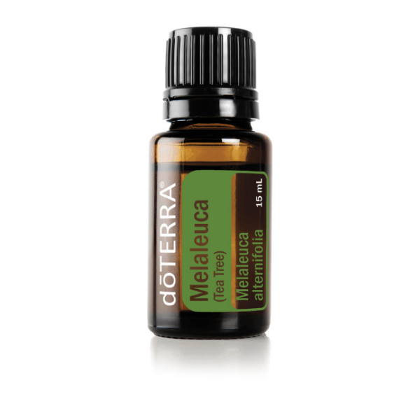 Melaleuca.png