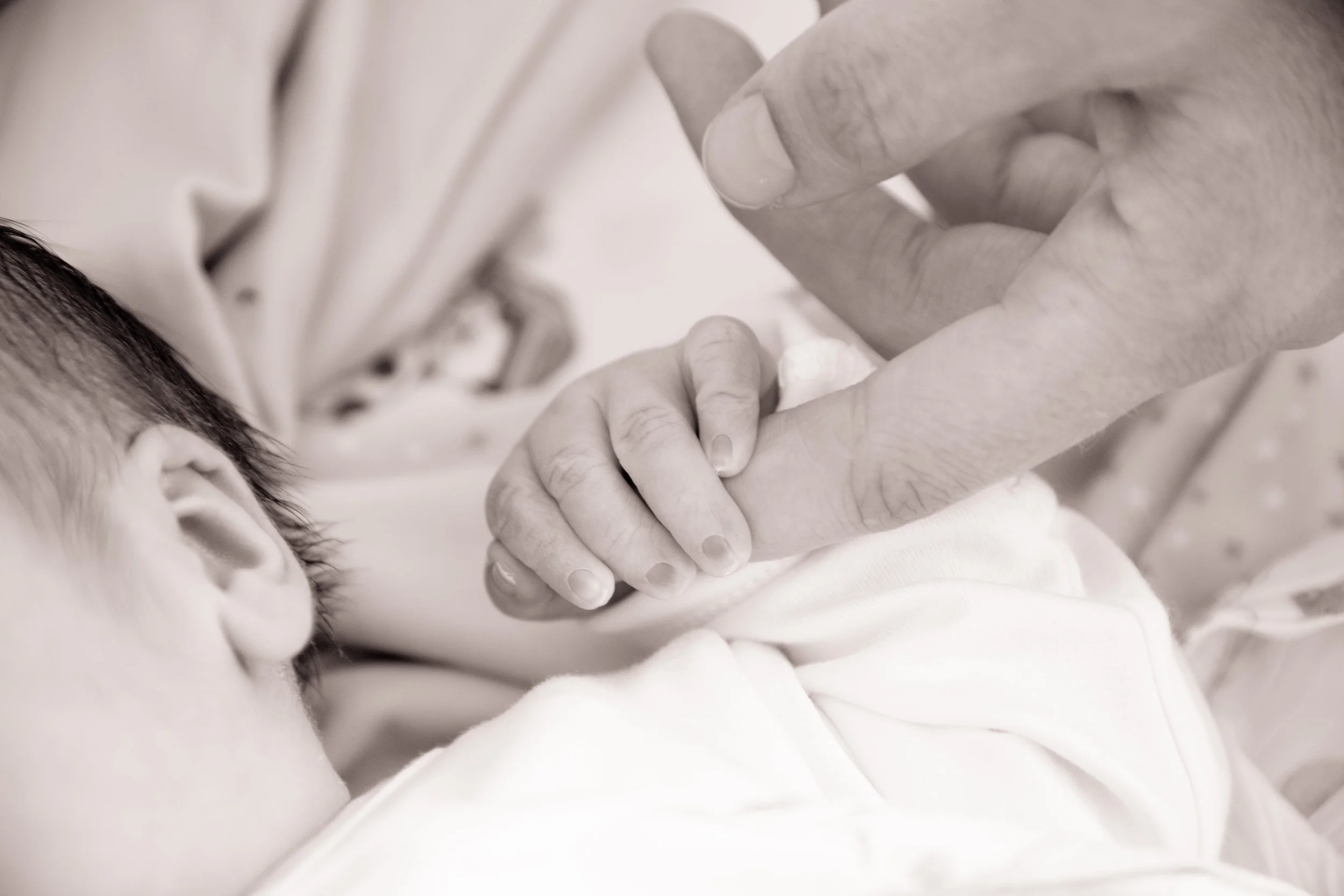 Fotografia di neonato nei primissimi giorni, con le mani dei genitori che accarezzano la sua mano.