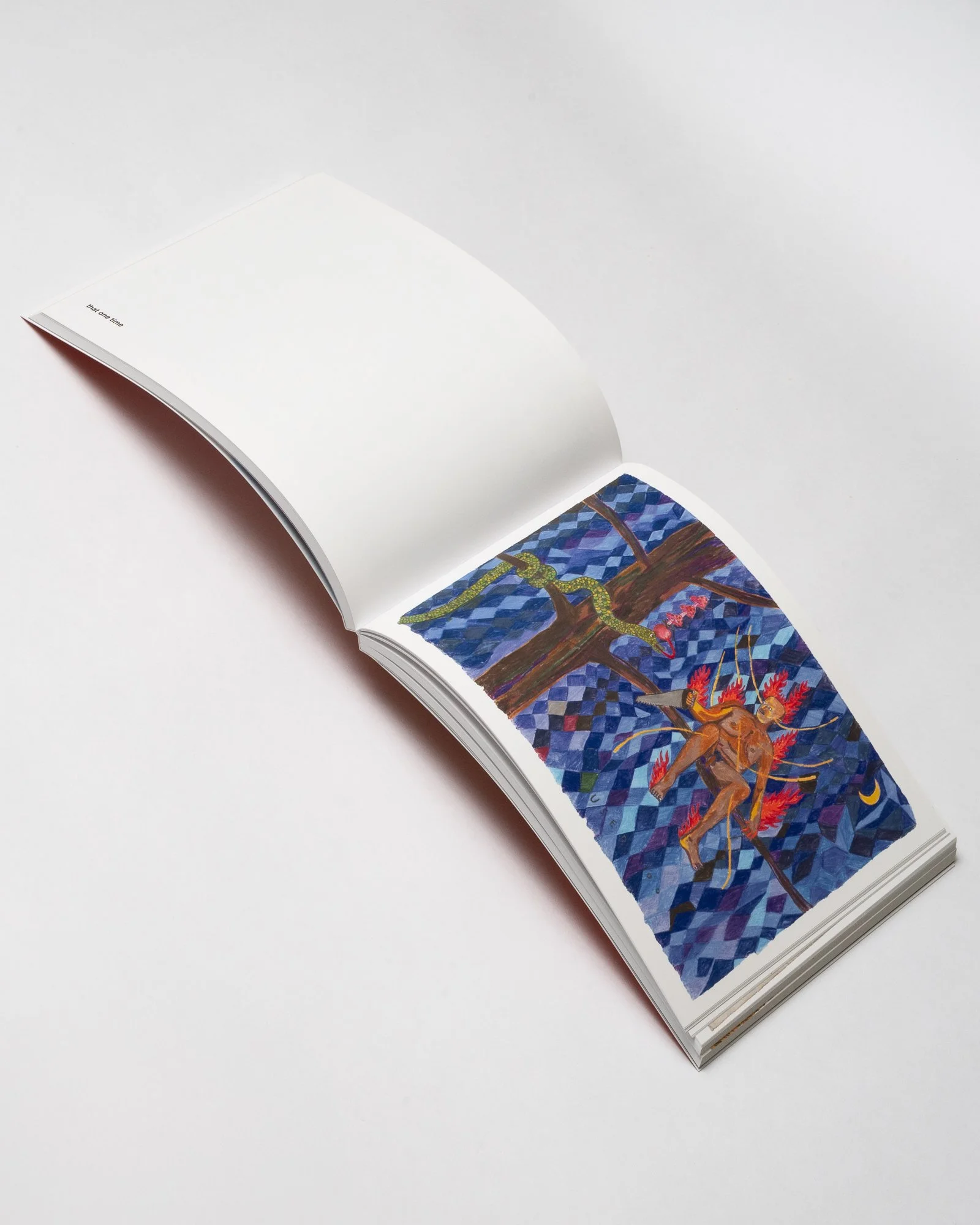 amnesia almanac-5.jpg