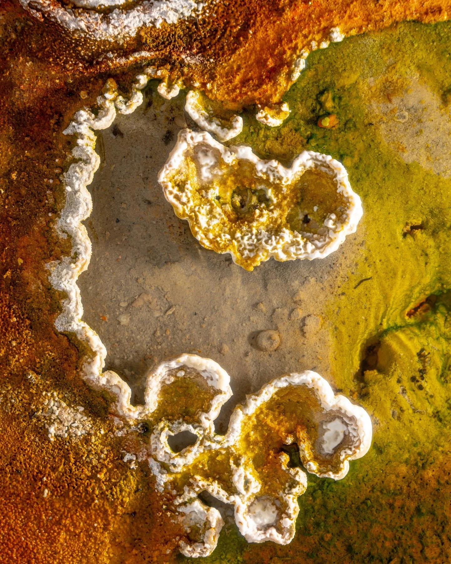 You never know who is going to show up to soak... Hot springs encounters in Colorado, California and Oregon.

My favorite spot? Mammoth Lakes, Siphon, world class spot.