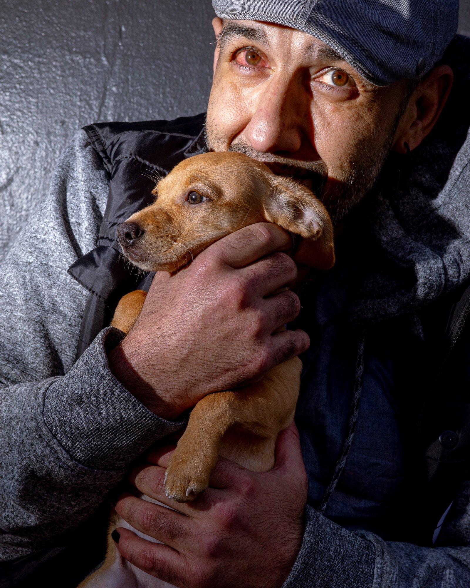 Man&rsquo;s Best Friend&hellip;
