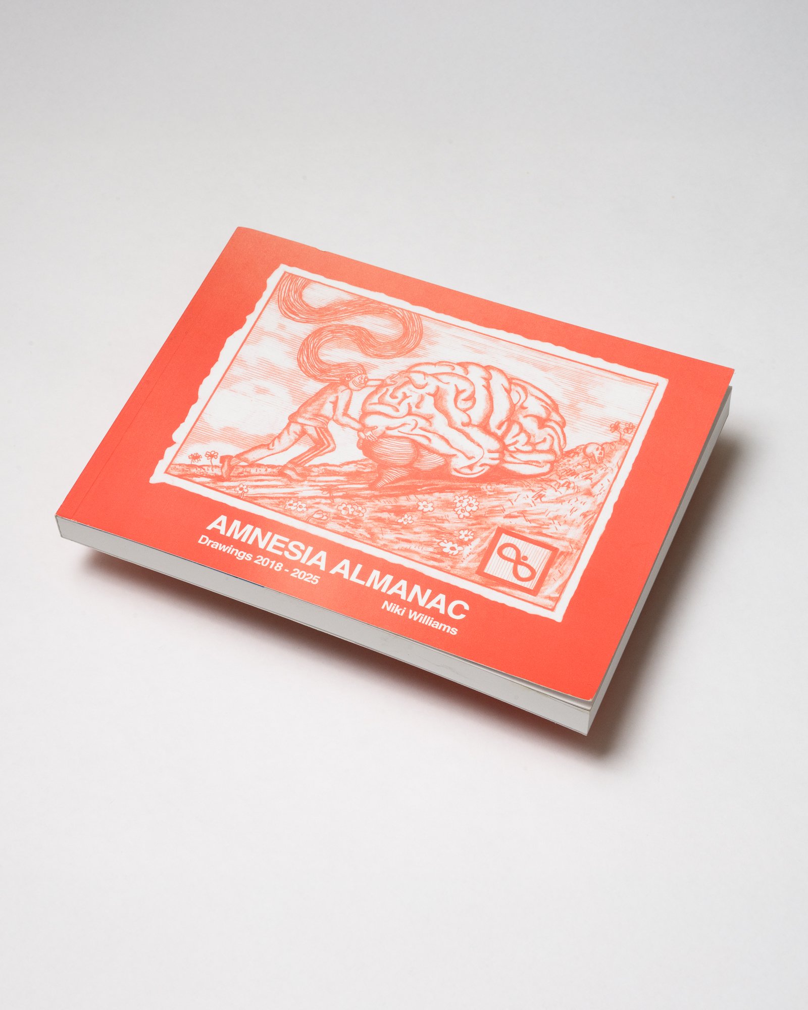 amnesia almanac-3.jpg