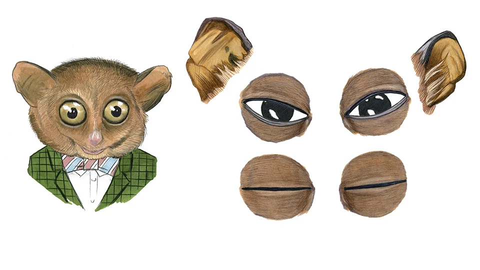 tarsier animation_02.jpg