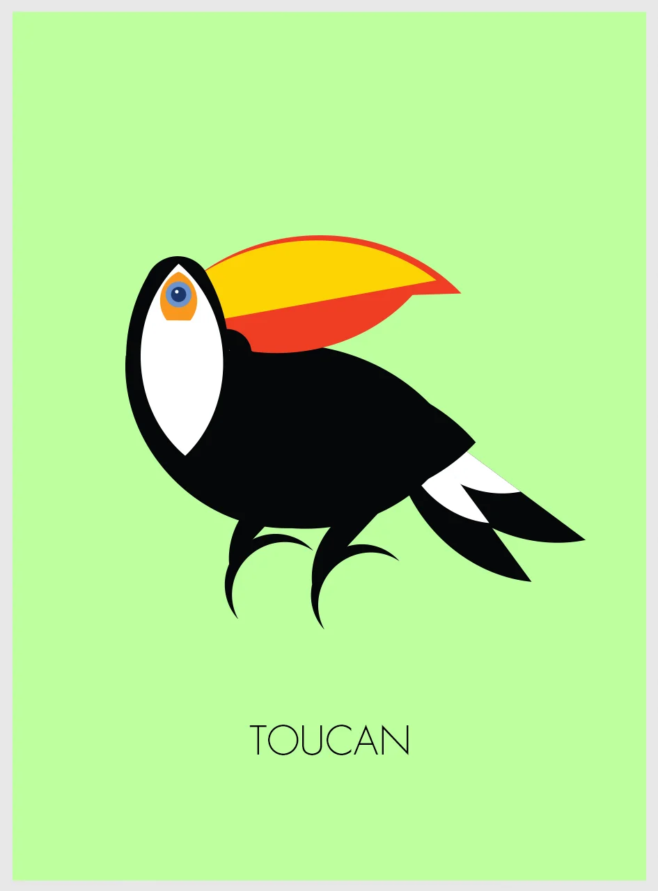 toucan.jpg