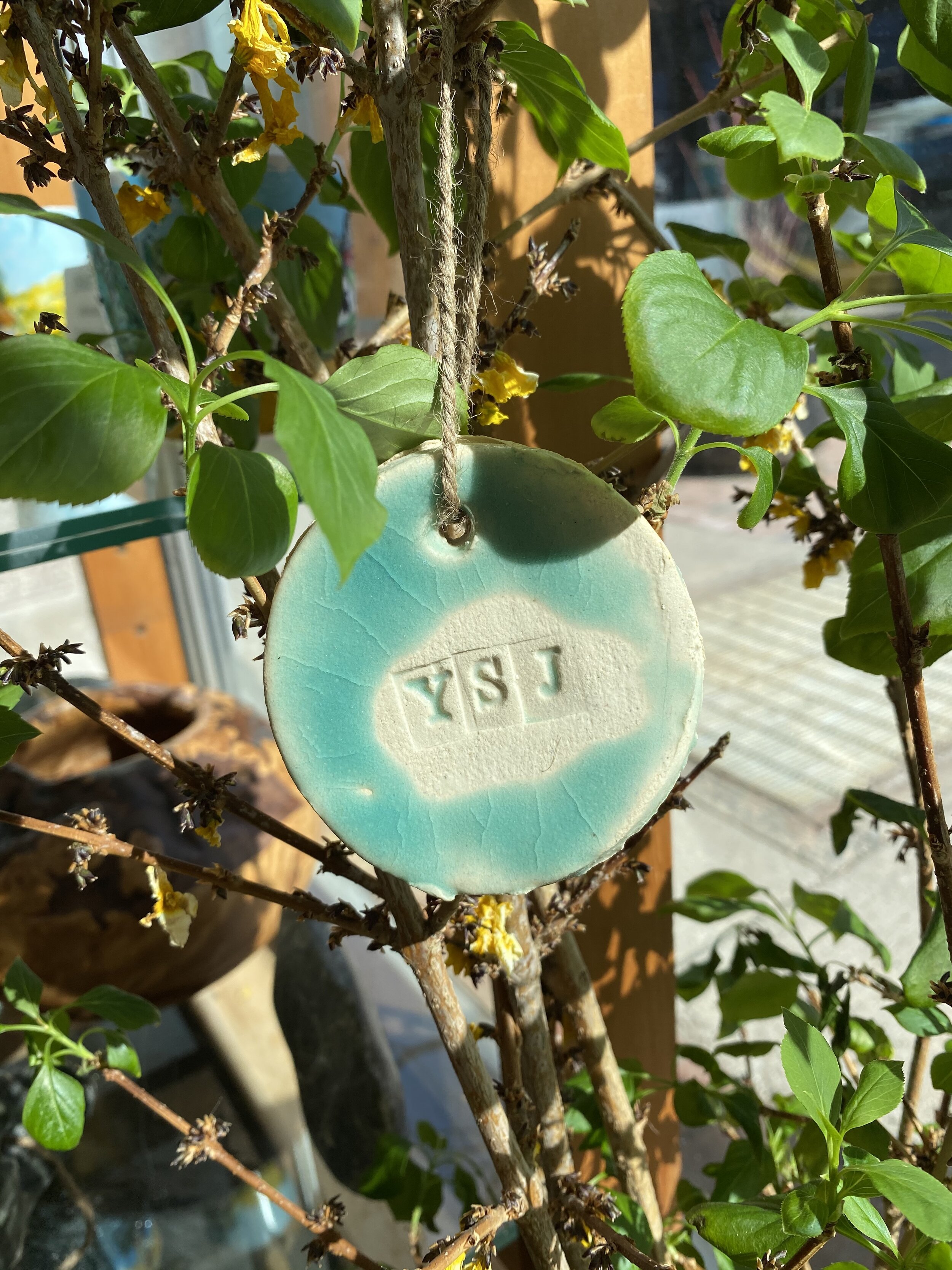 Leanne MacDonald - YSJ