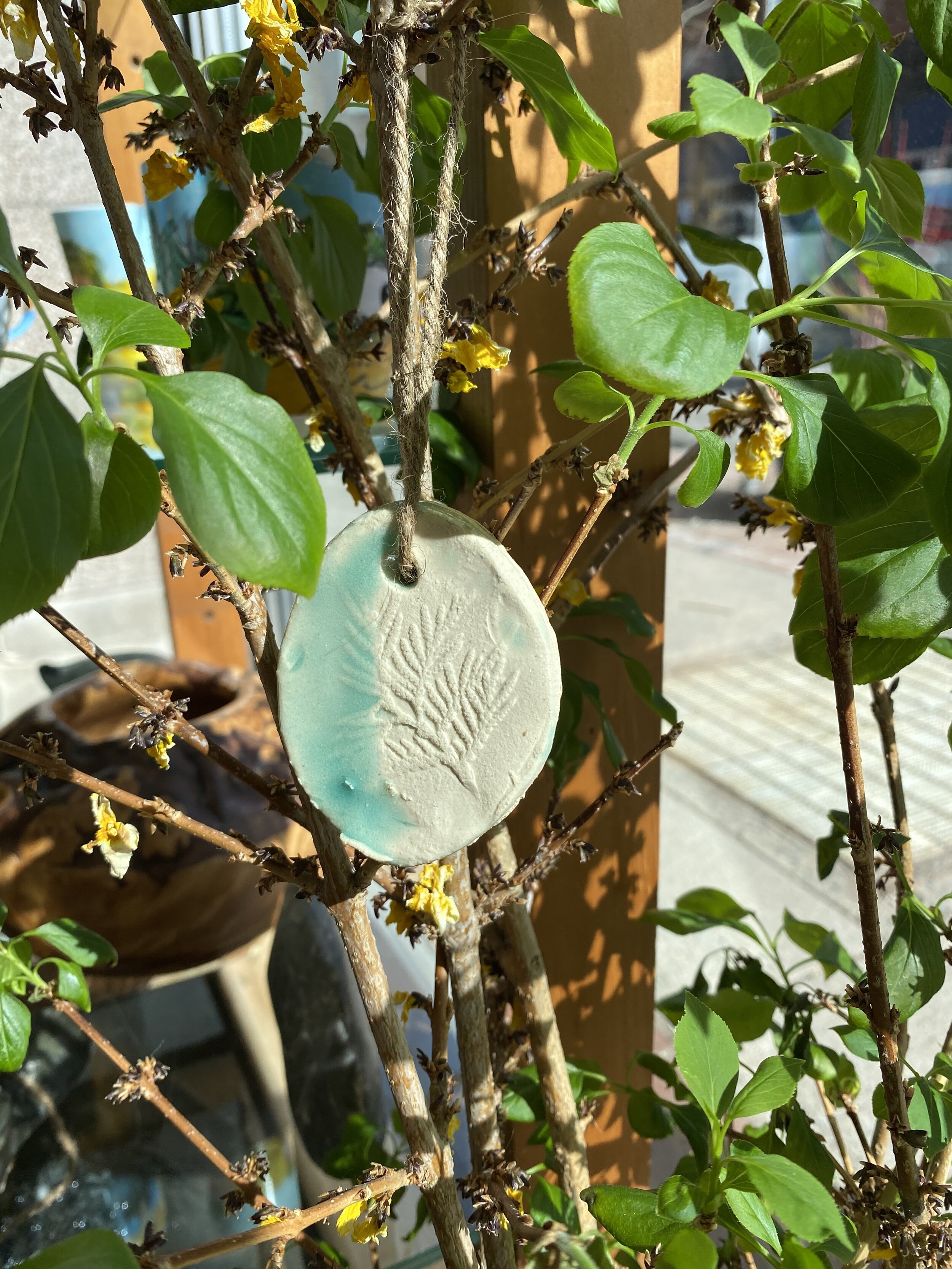 Leanne MacDonald - NB Pine