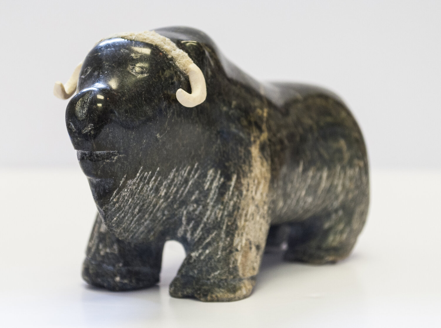 L. Kootoo - Musk Ox