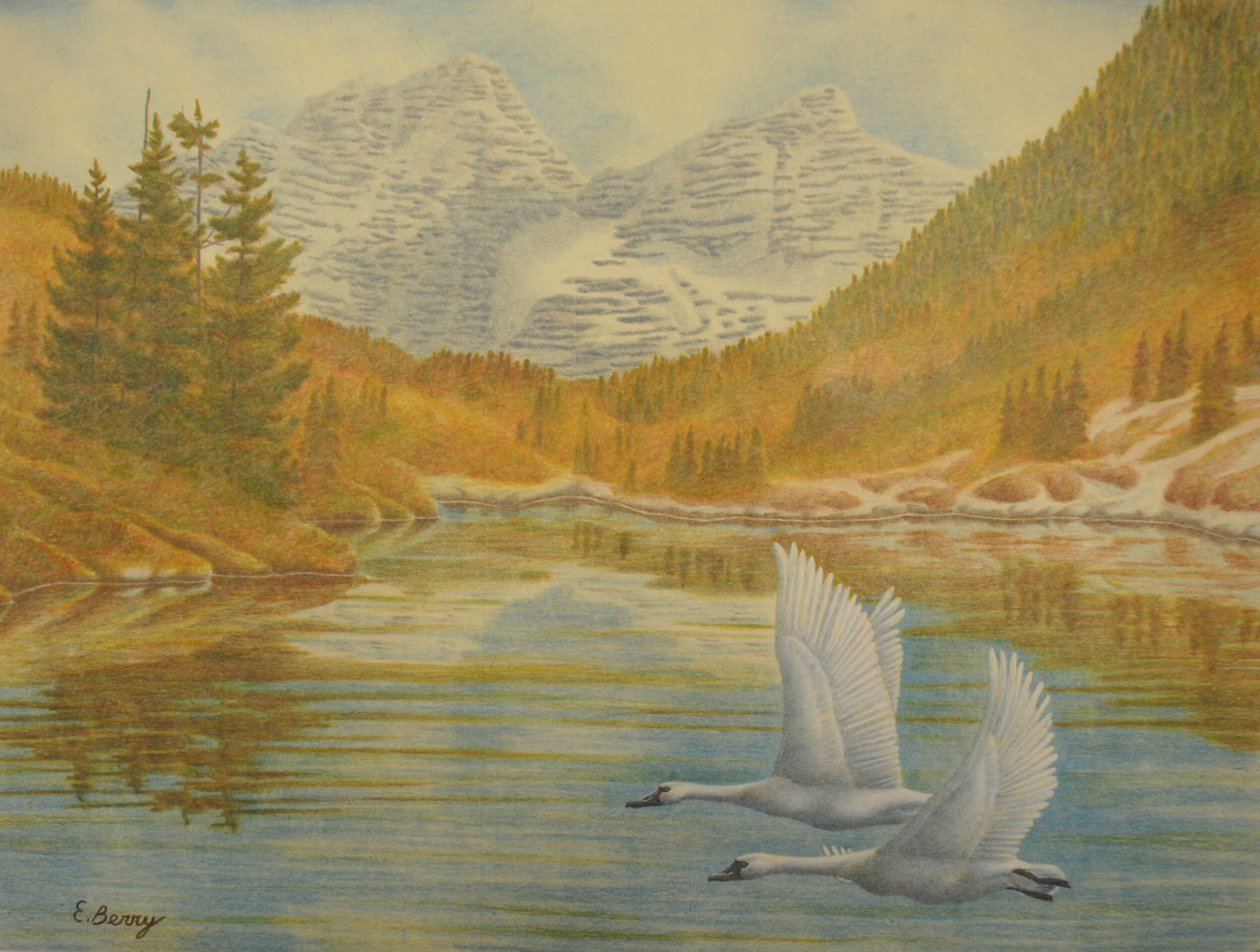 Earl Berry - Whistling Swans, On the Wing