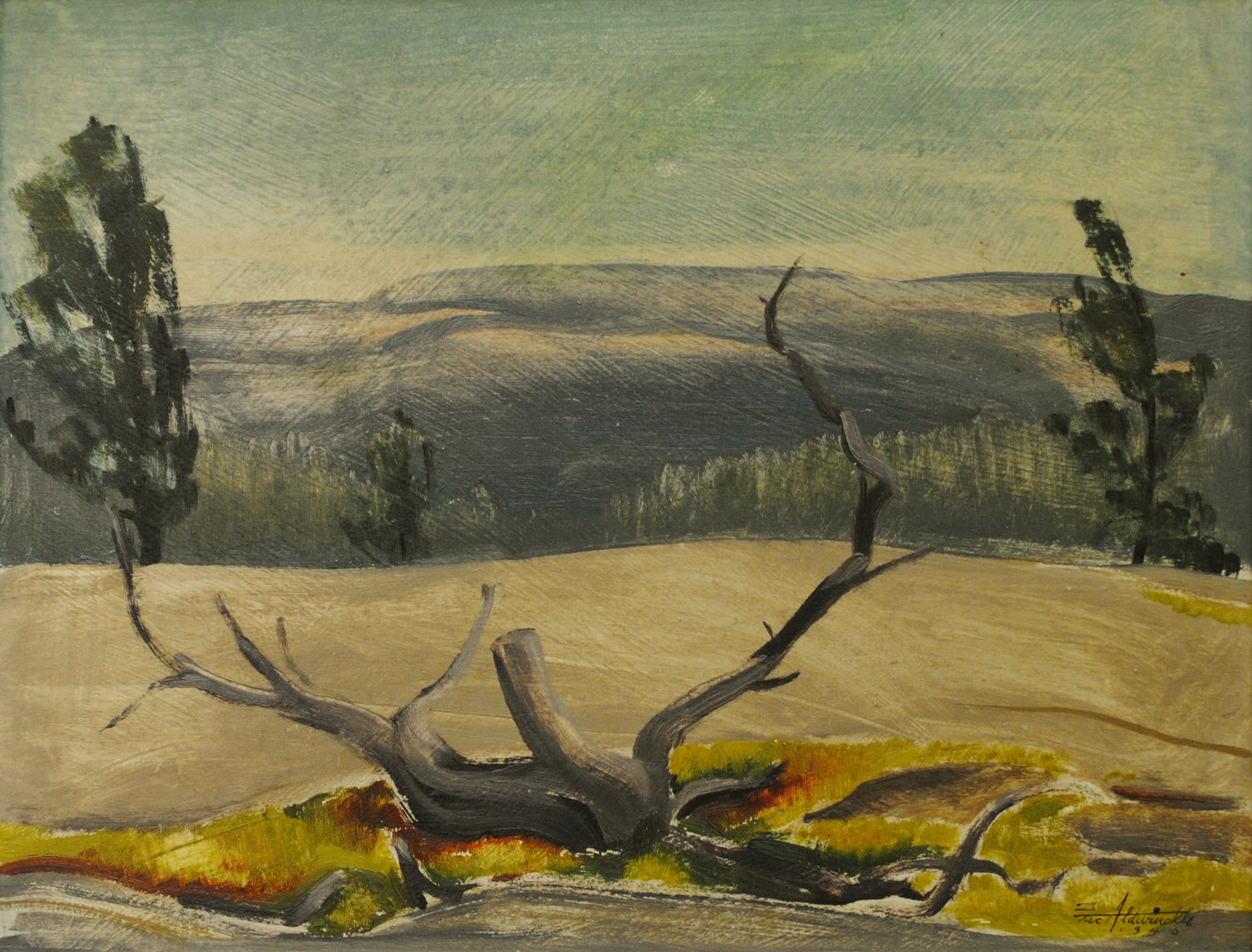 Eric Aldwinckle - Old Stump