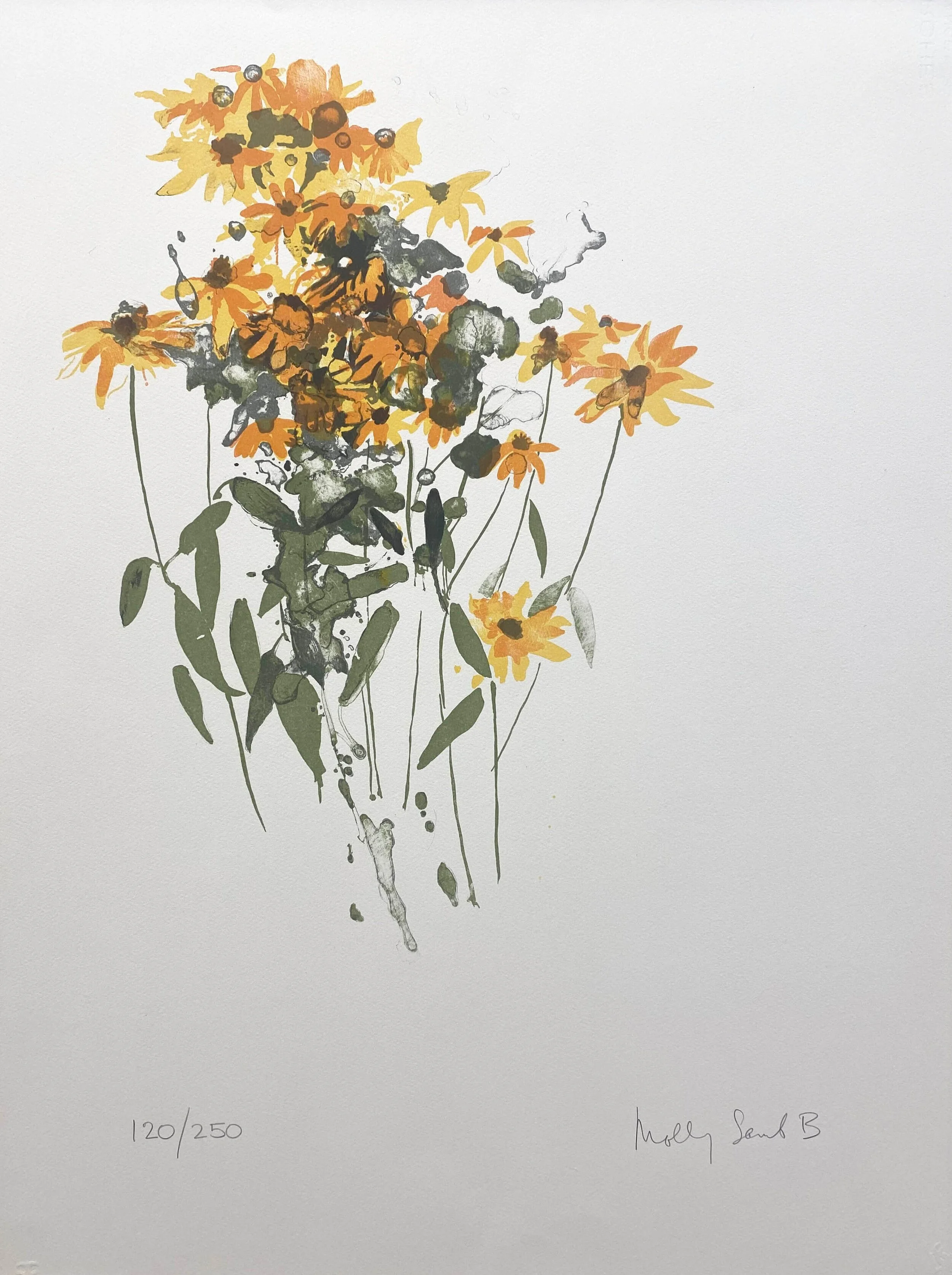 Molly+Lamb+Bobak%2C+Black+Eyed+Susans%2C+colour+lithograph%2C+21x28%2C+%24200+unframed%2C+%24350+framed.jpg