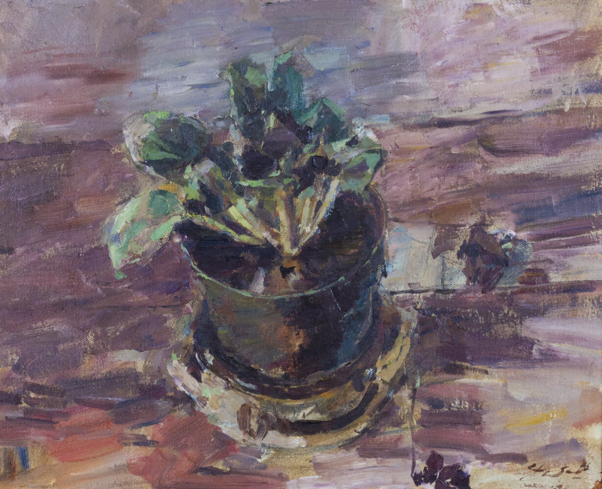 Stephen Scott - Potted Plant