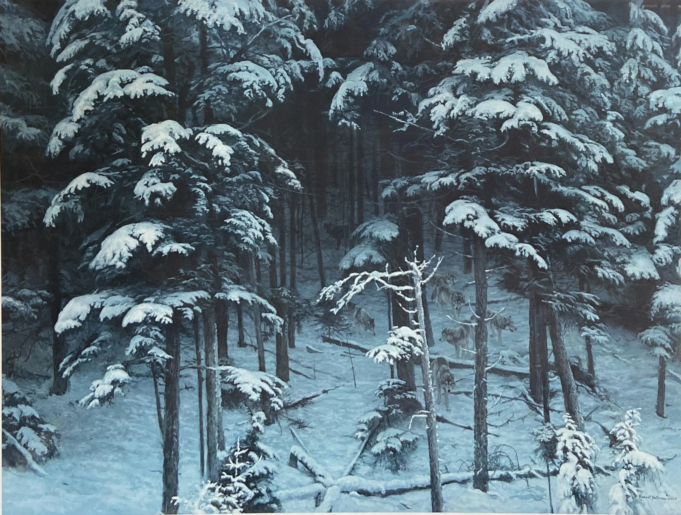 Robert Bateman