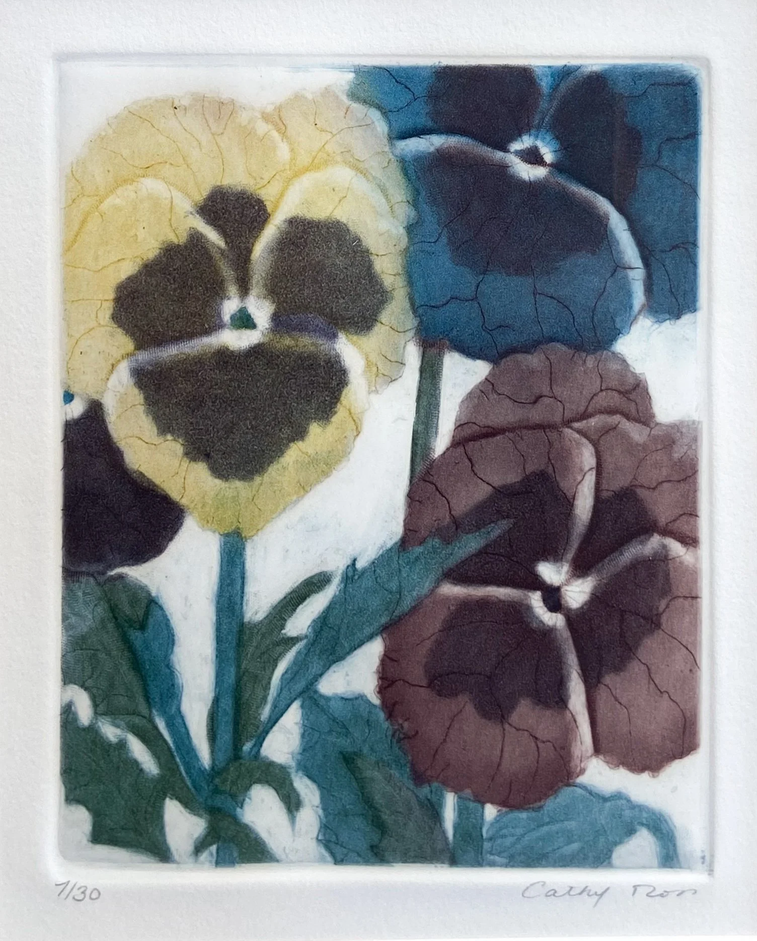 Cathy Ross - Pansies