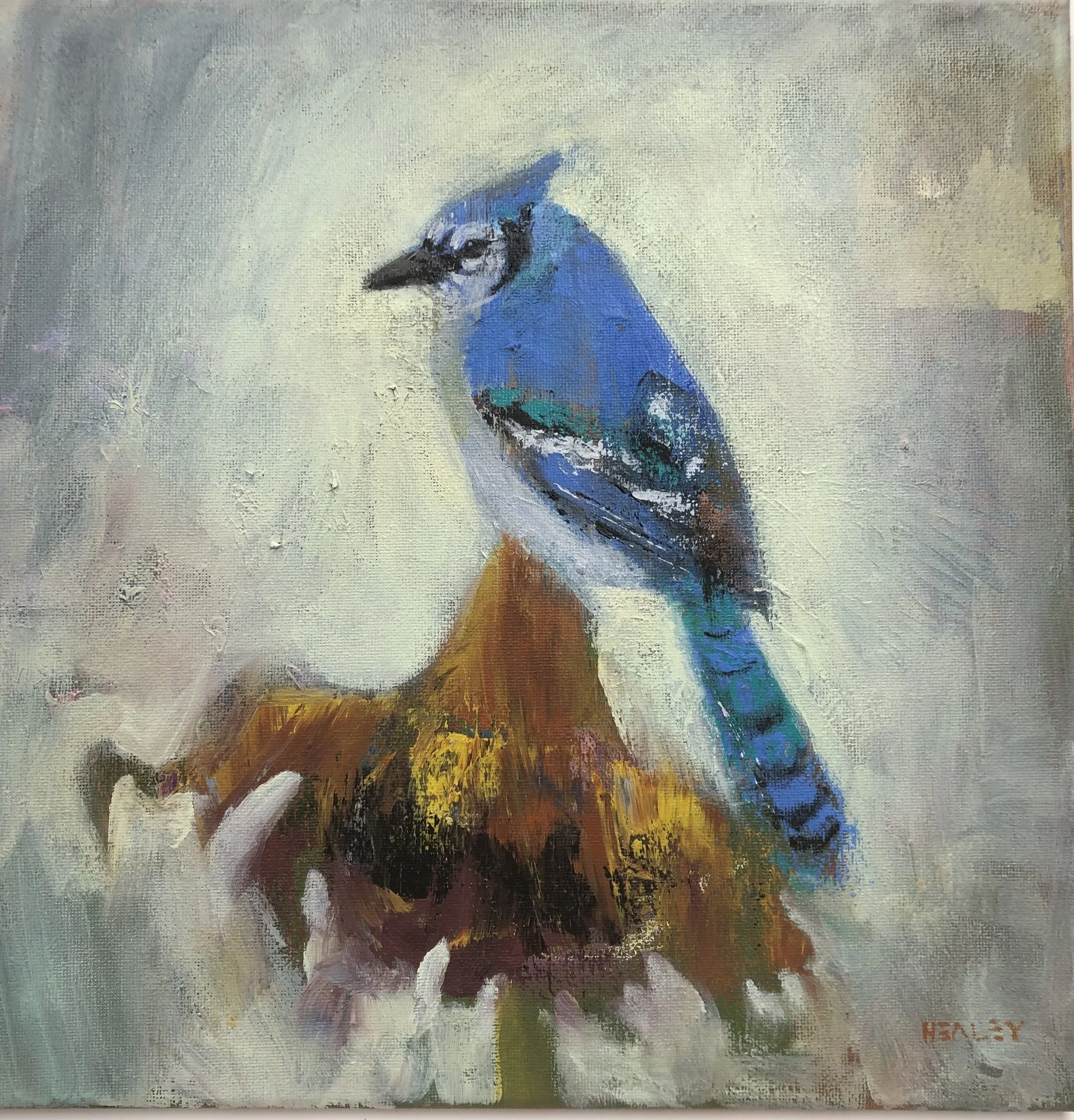 Paul Healey - Autumn Jay