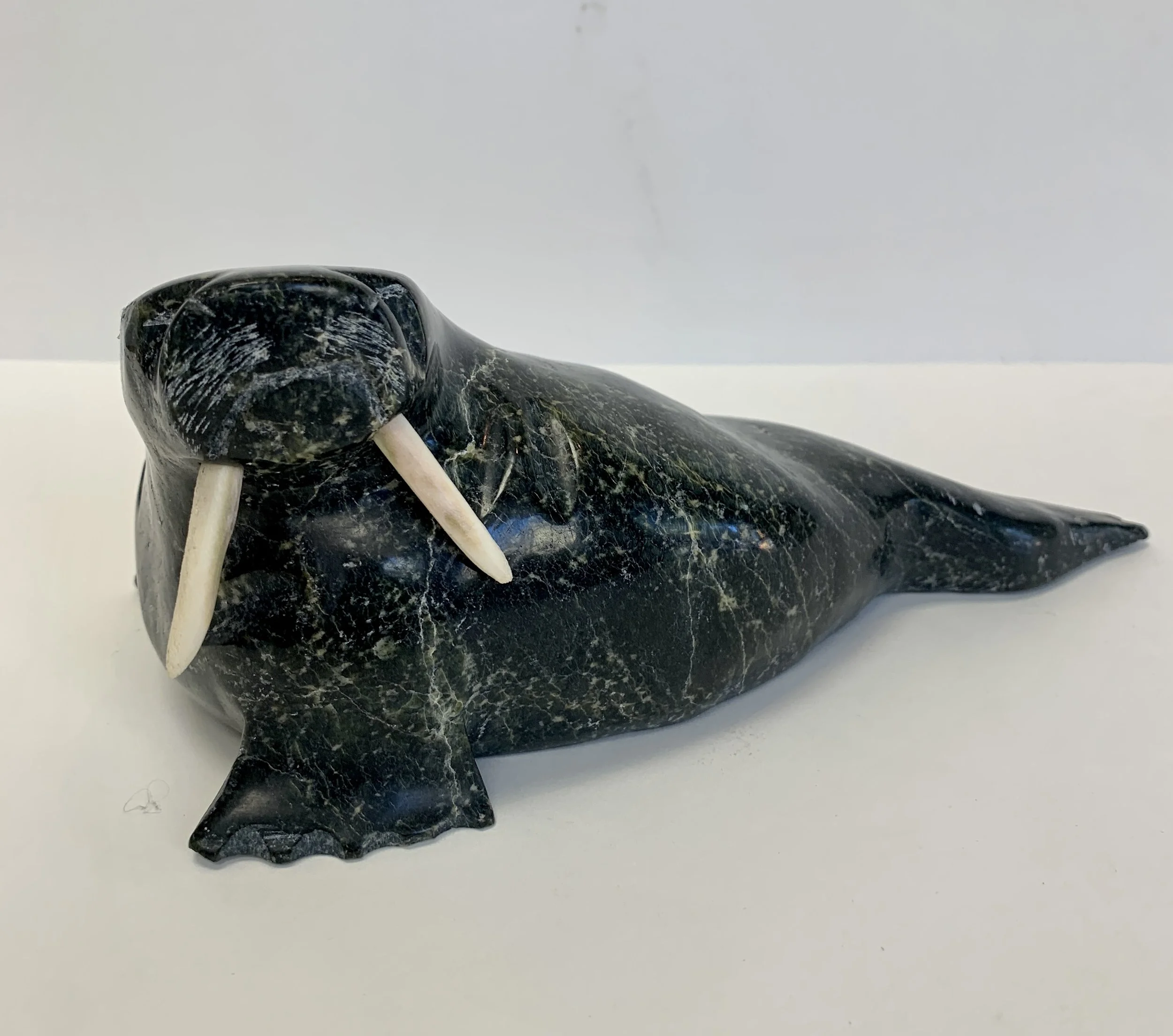 Mosha Ragee -Portly Walrus (2022)