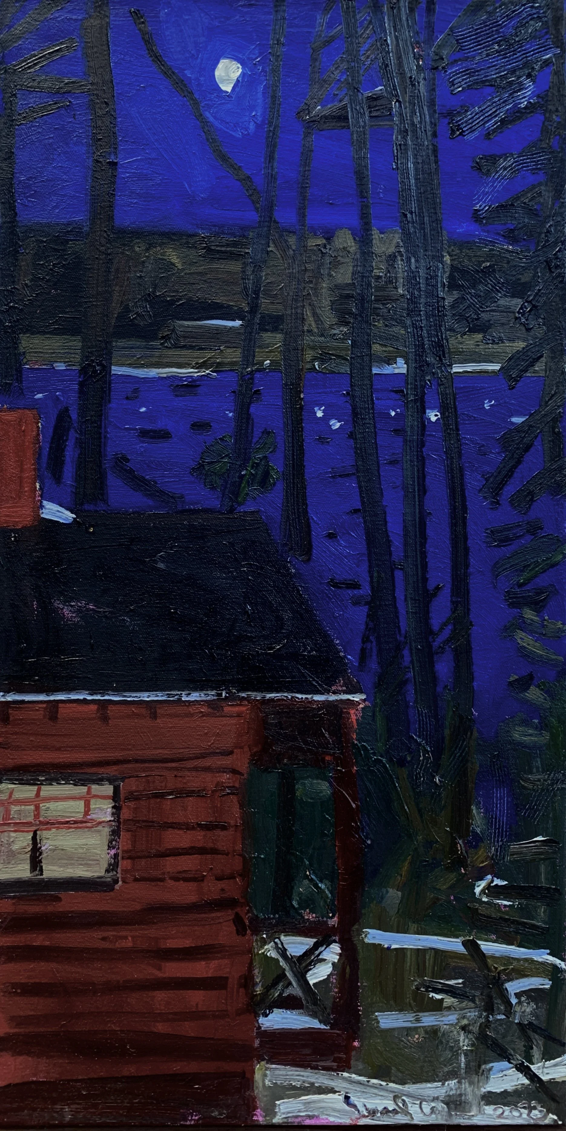 Gerard Collins - Cathy's Camp, Shaw's Lake (2023)