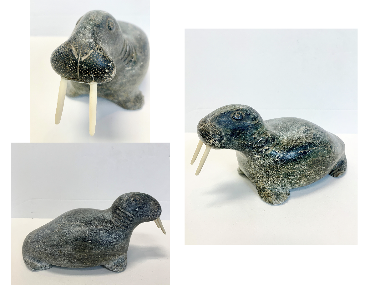 David Munck - Walrus
