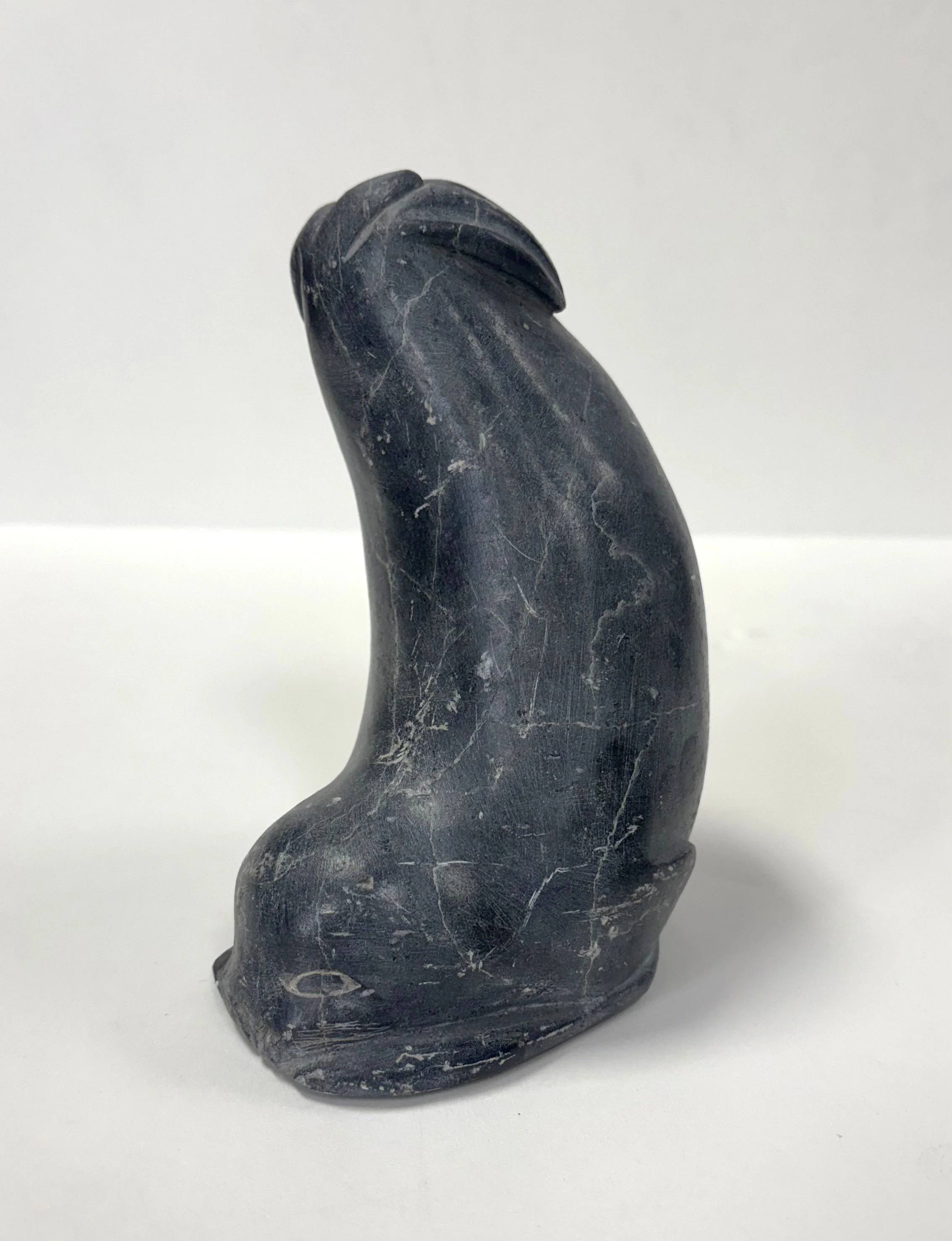David Nuvalinga - Flipping Seal