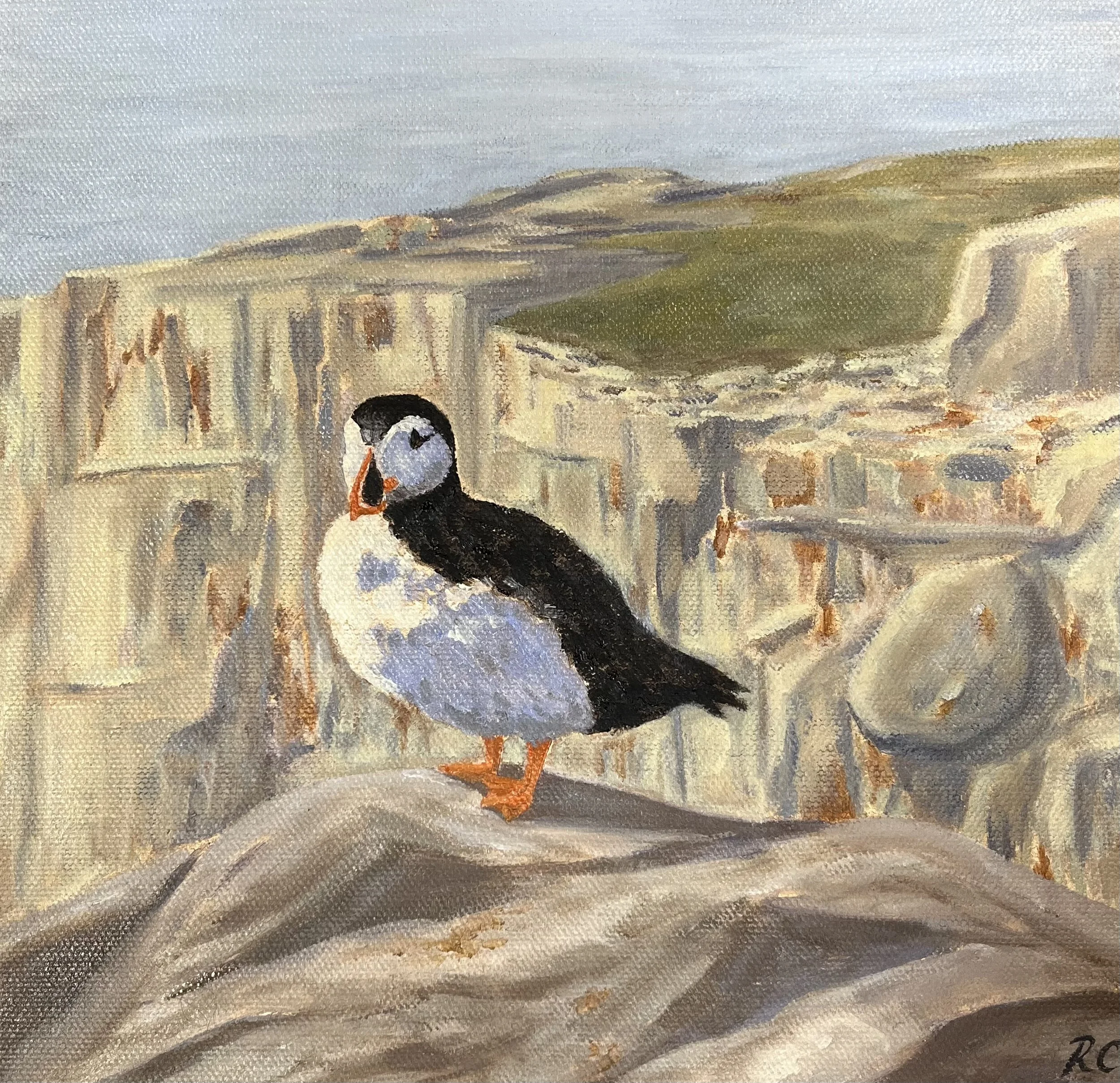 Rose Cusack - The Pondering Puffin (2026)