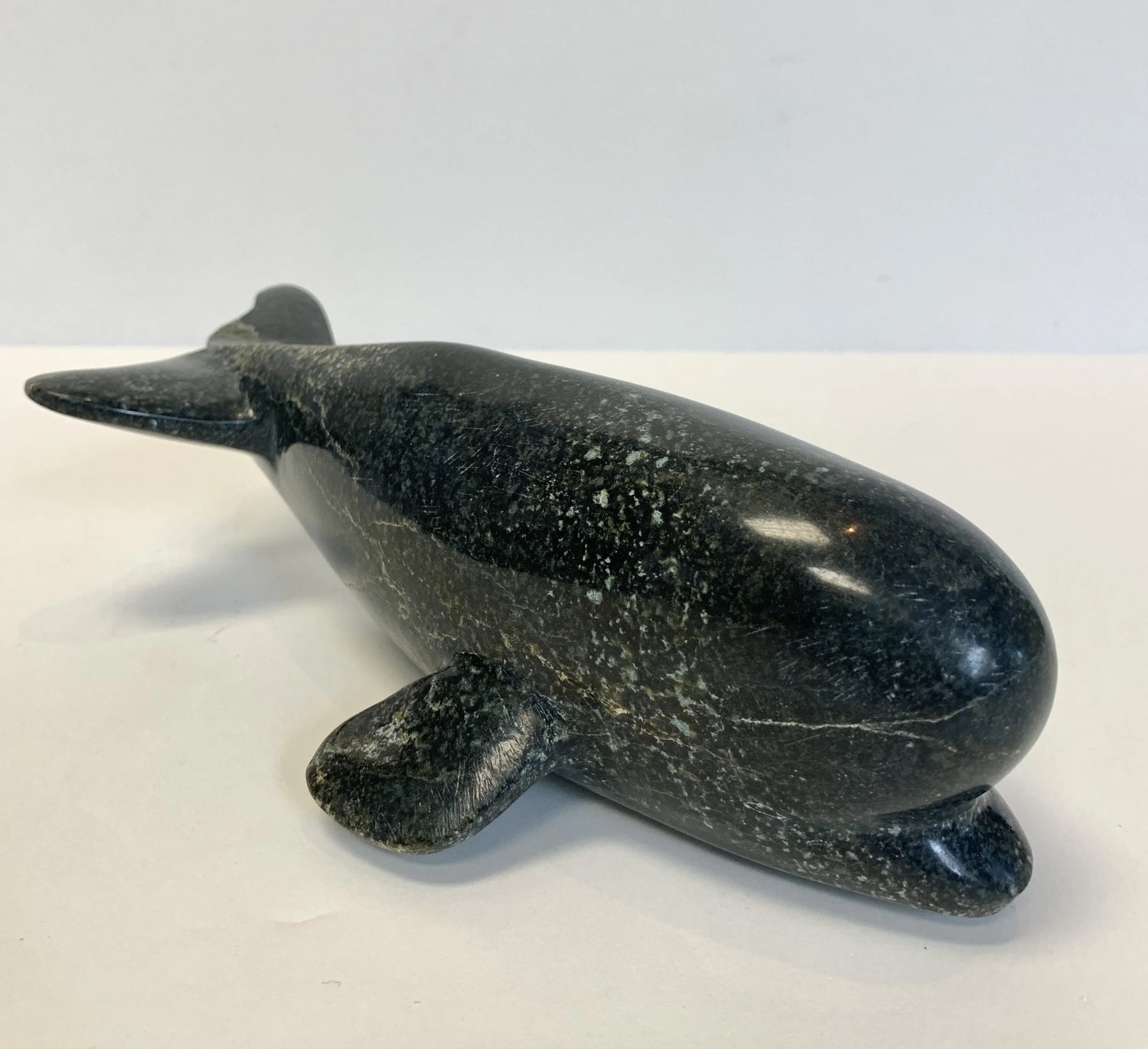 Isa Oqutaq- Beluga Whale (2023)