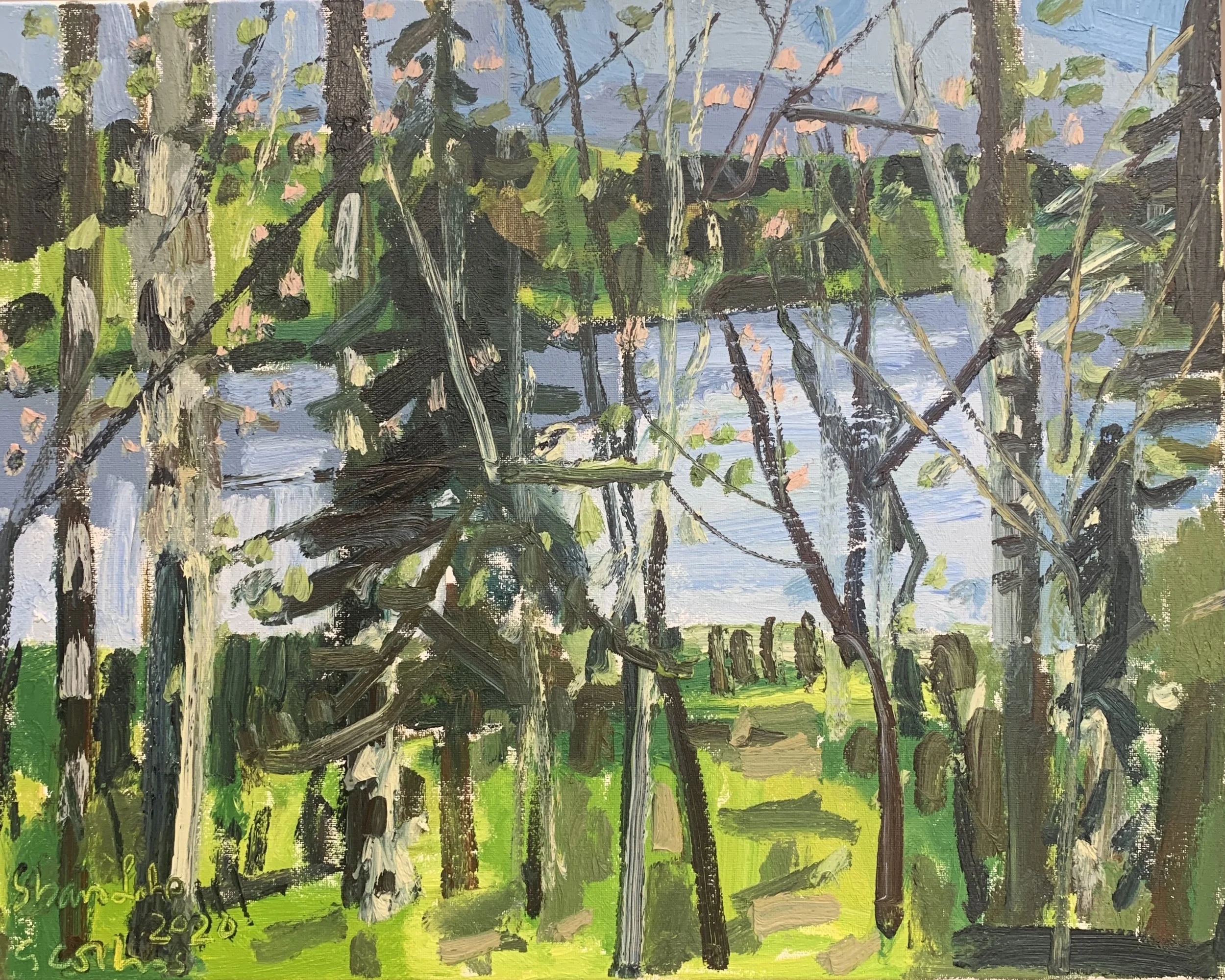 Gerard Collins - Shaw Lake (2020)