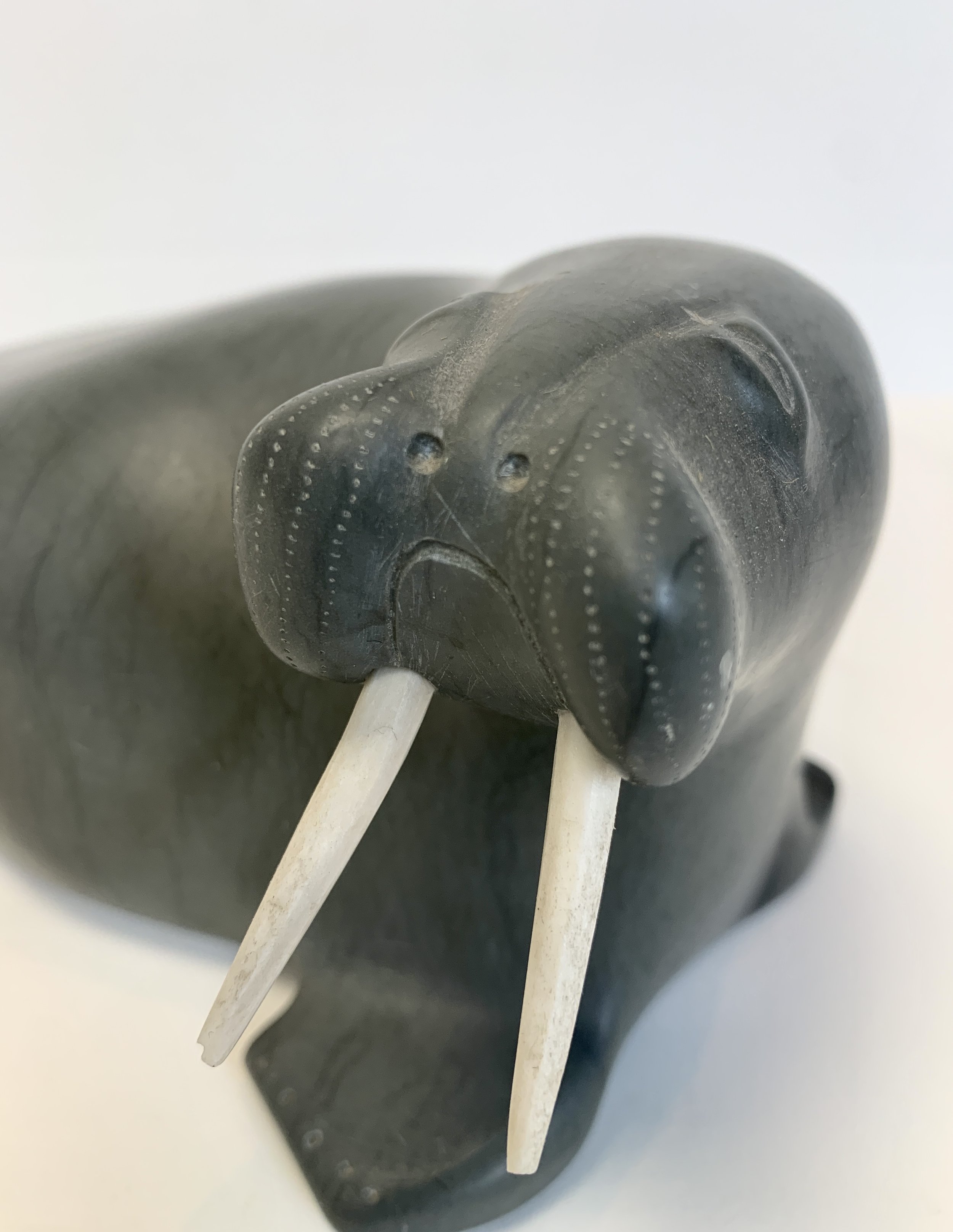 Unidentified - Walrus — Cobalt Art Gallery