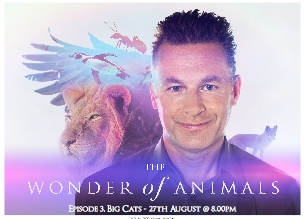 BBC - "THE WONDER OF ANIMALS"