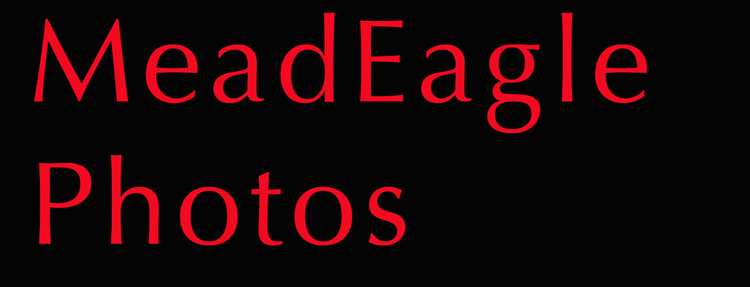 MeadEaglePhotos