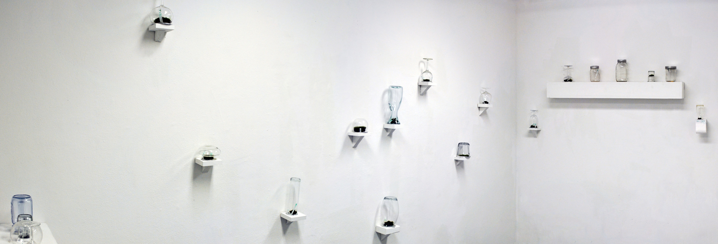 There's nothing forgetting, 2012, moss, poem, glass container let the poem grow in a closed space with the natural being, the words disappeared, the poetic spirit is kept. 