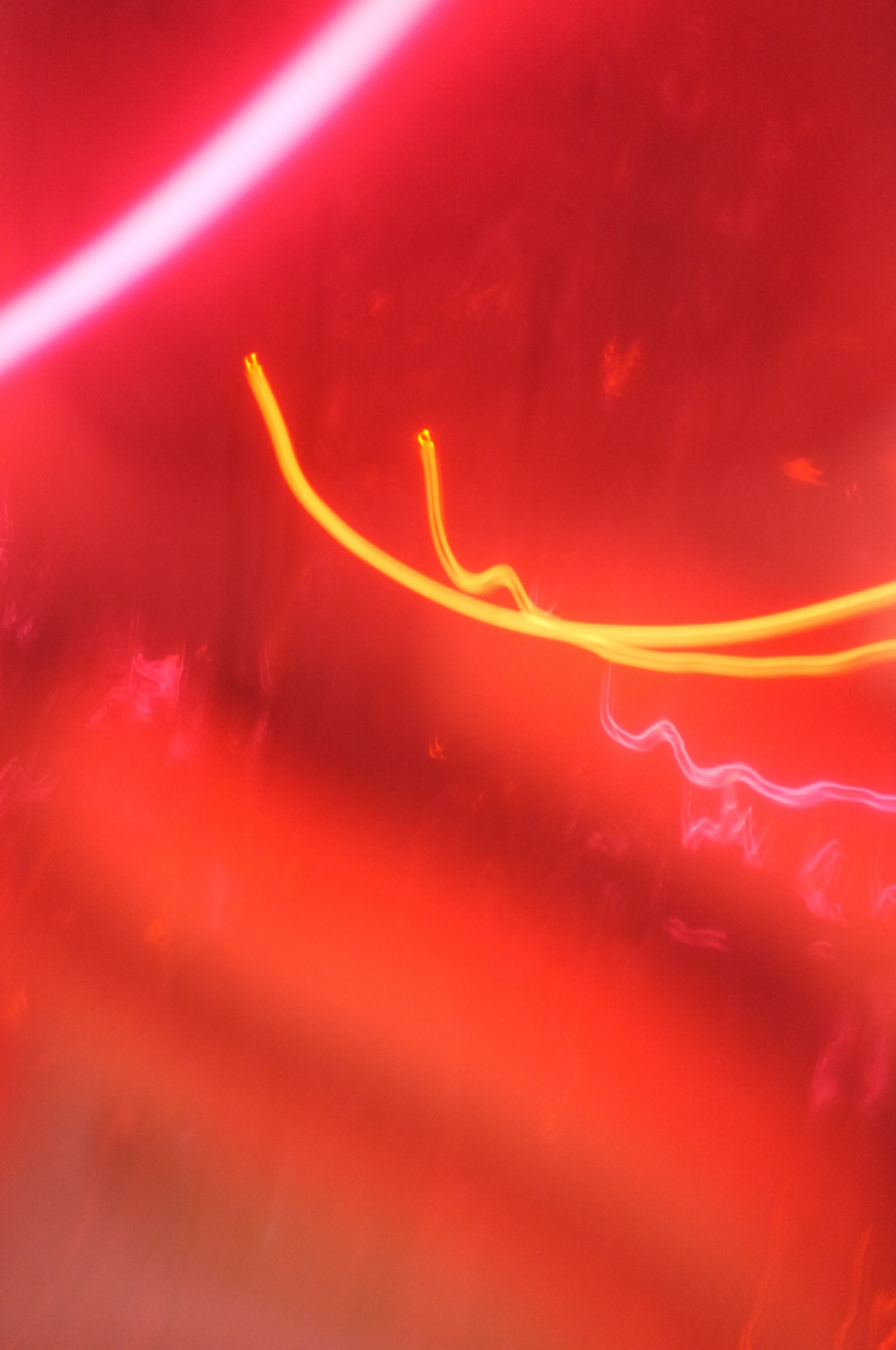 DSCF8795.jpg