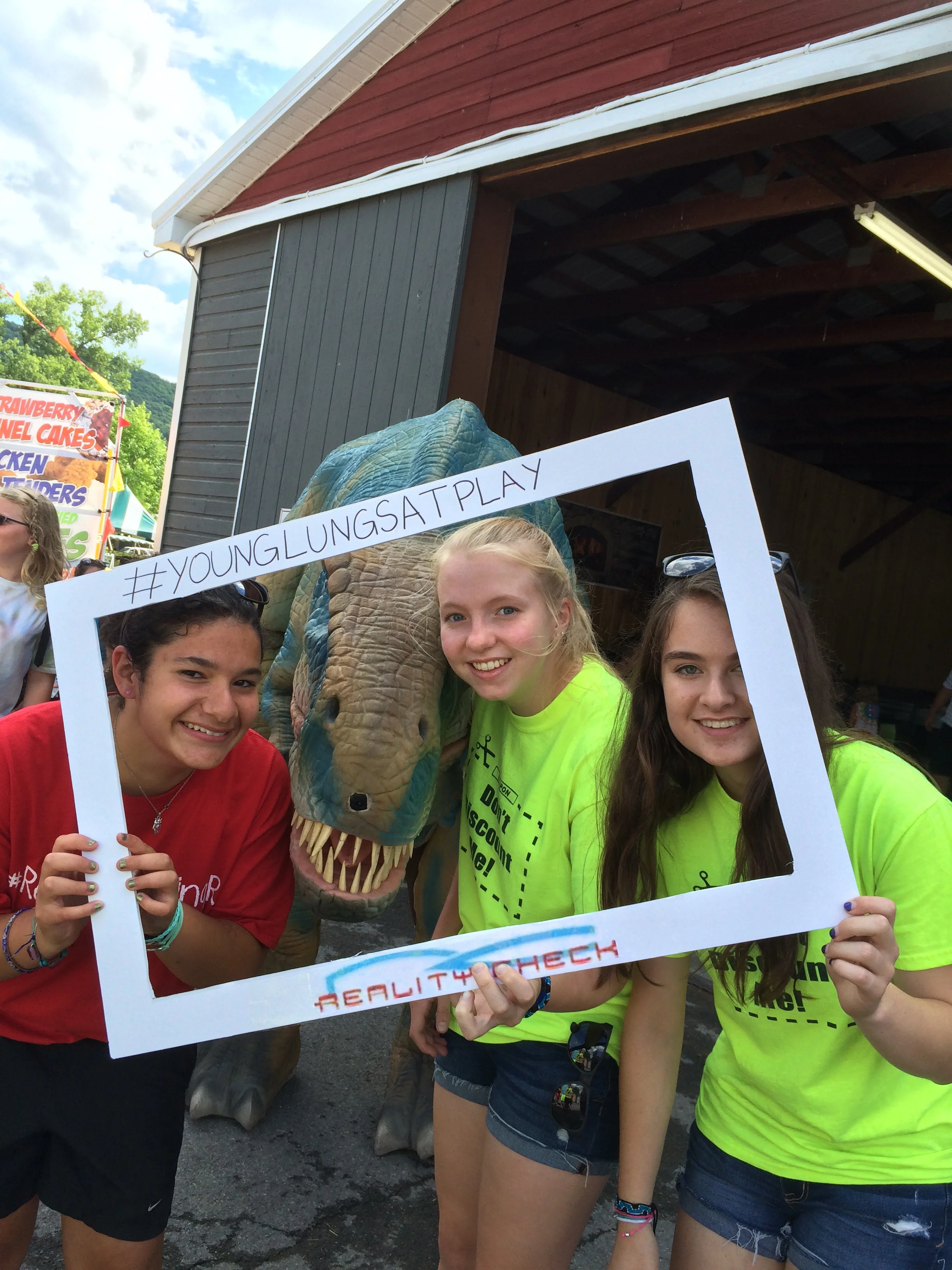 Schohaire County Sunshine Fair