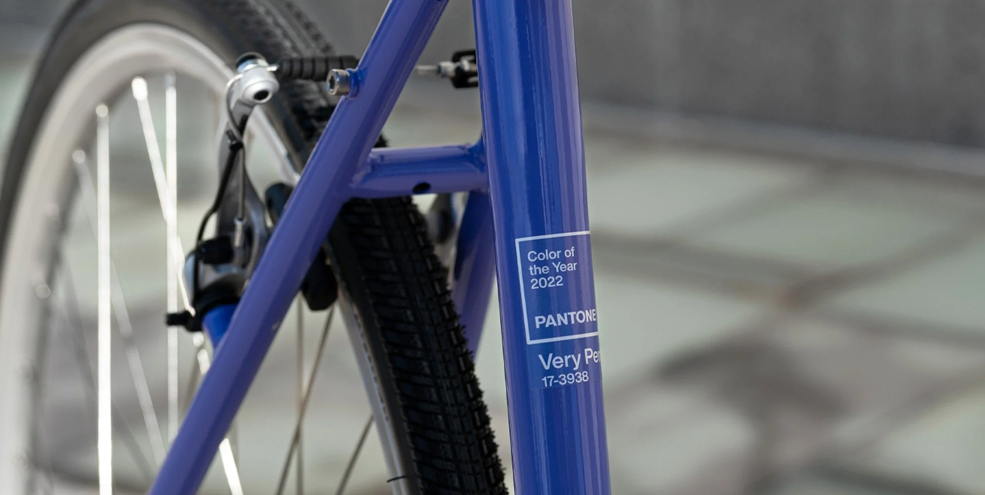 1_Priority-Pantone_Web_Banner.jpg