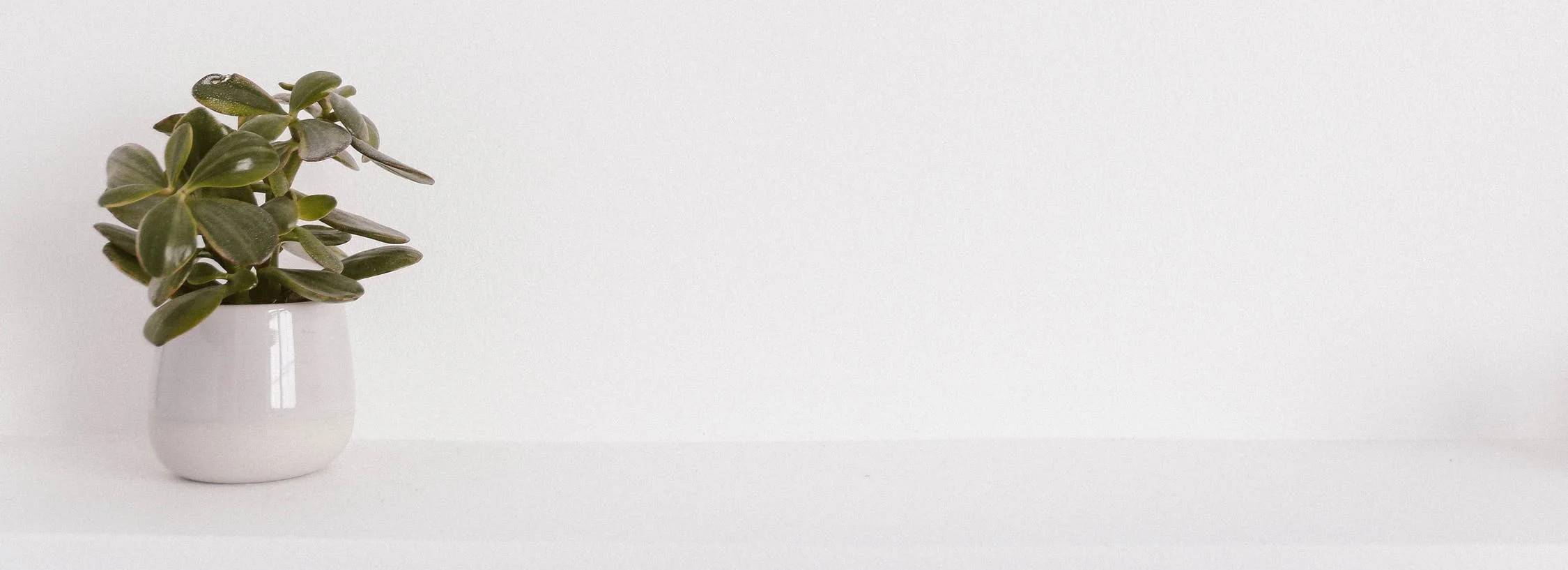 Desk2 copy.jpg