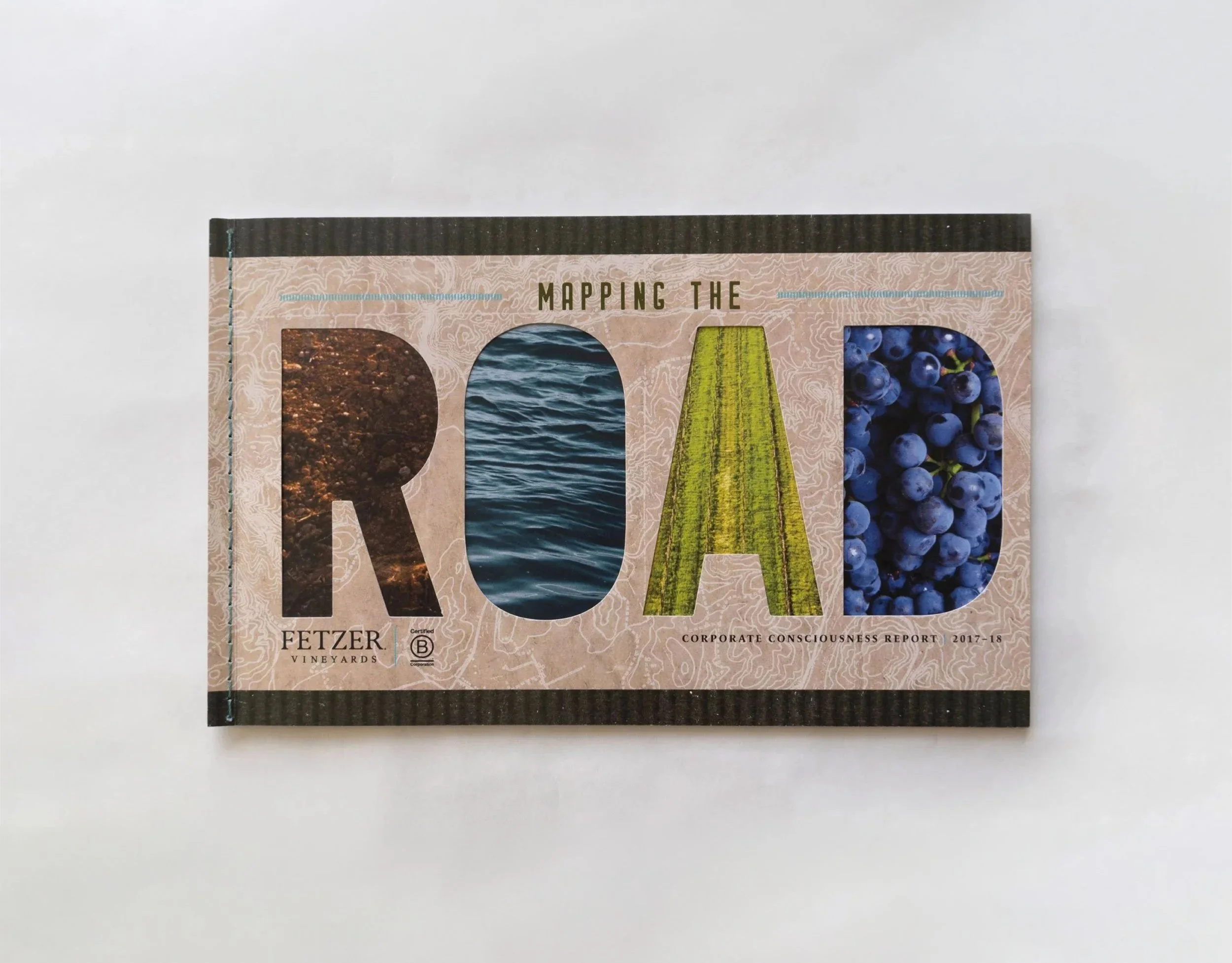 B Corp - Fetzer's Mapping the Road Report