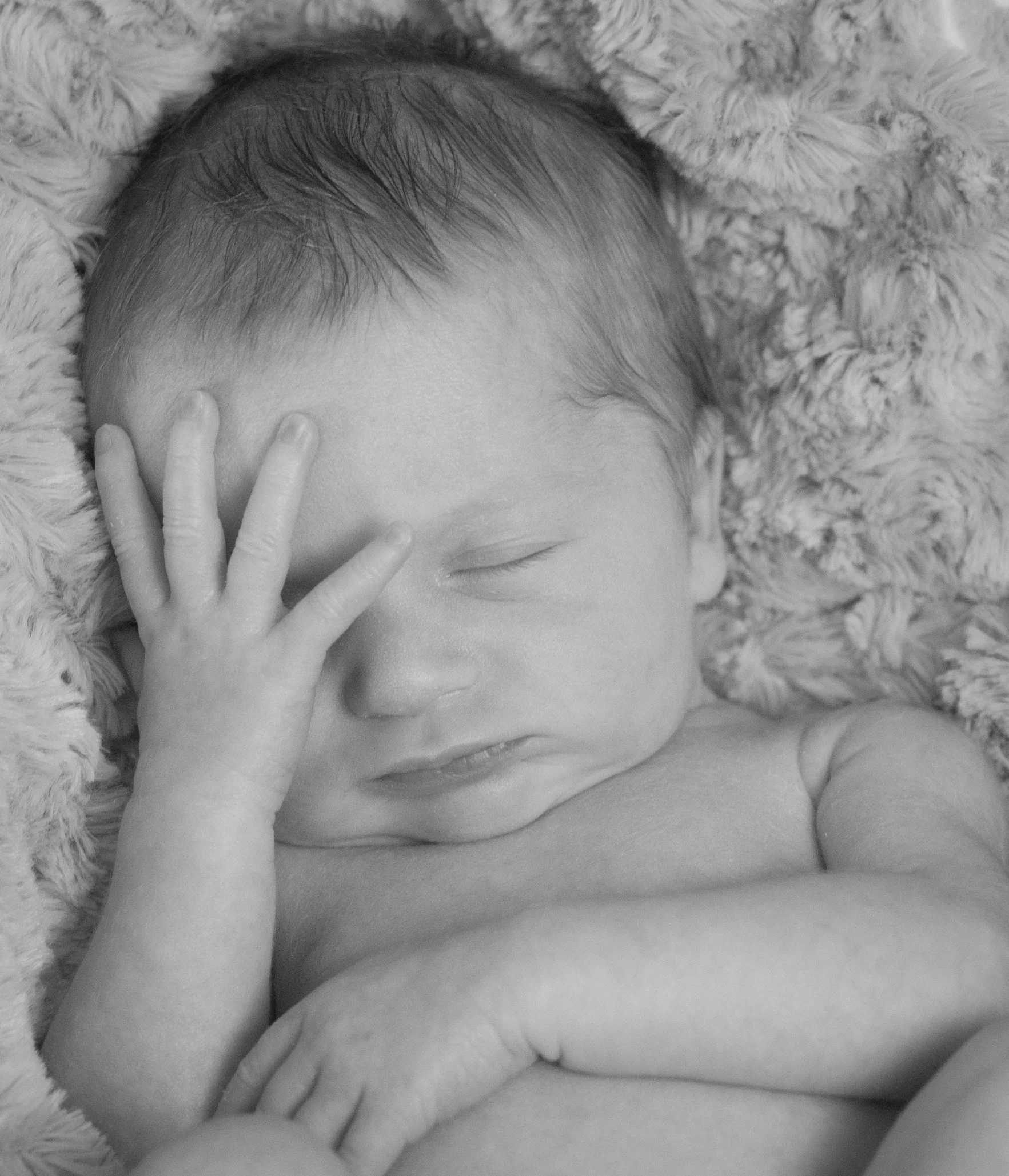 Newborn Photo Sessions Cape Cod