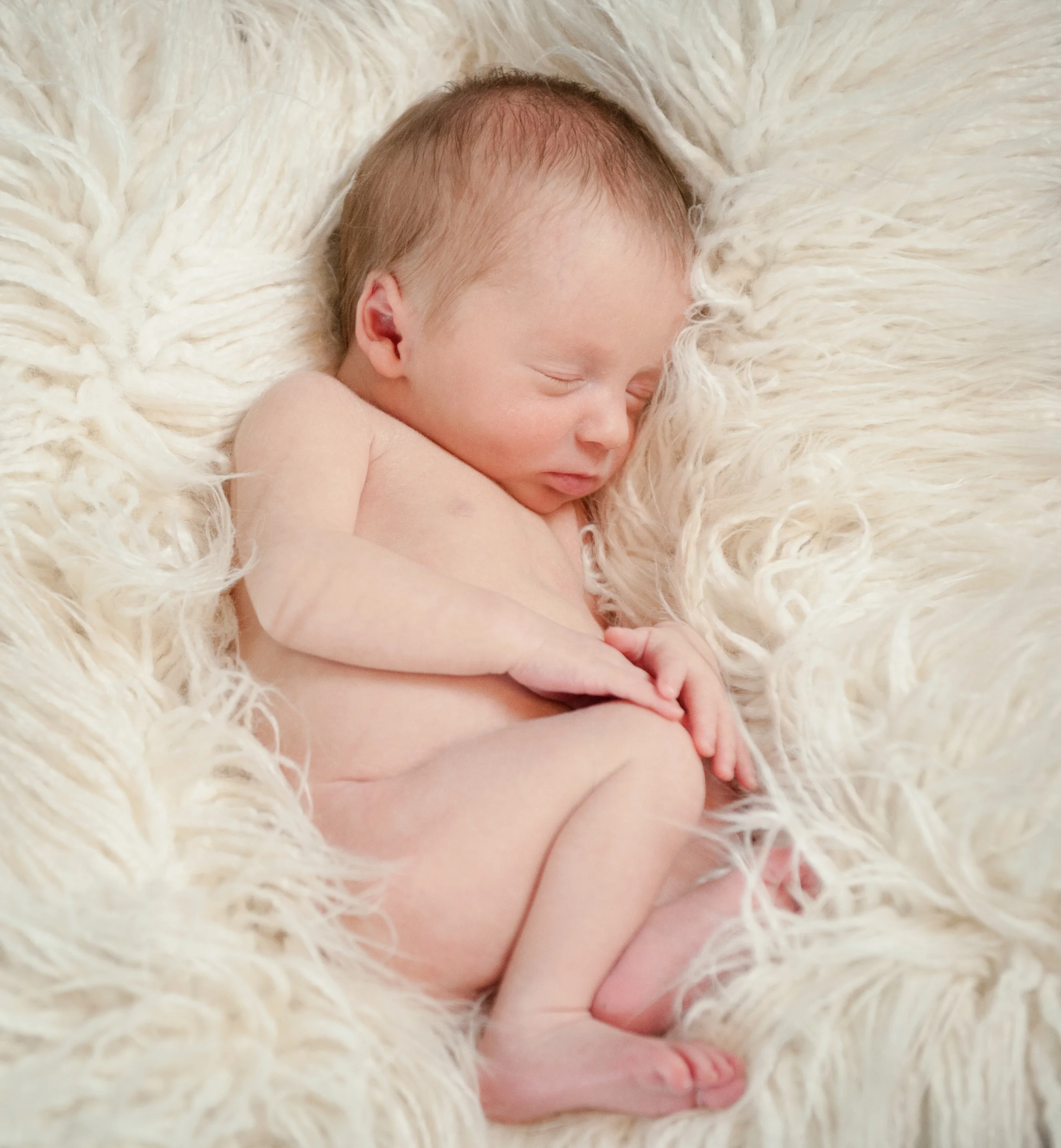 Newborn Photo Sessions Cape Cod