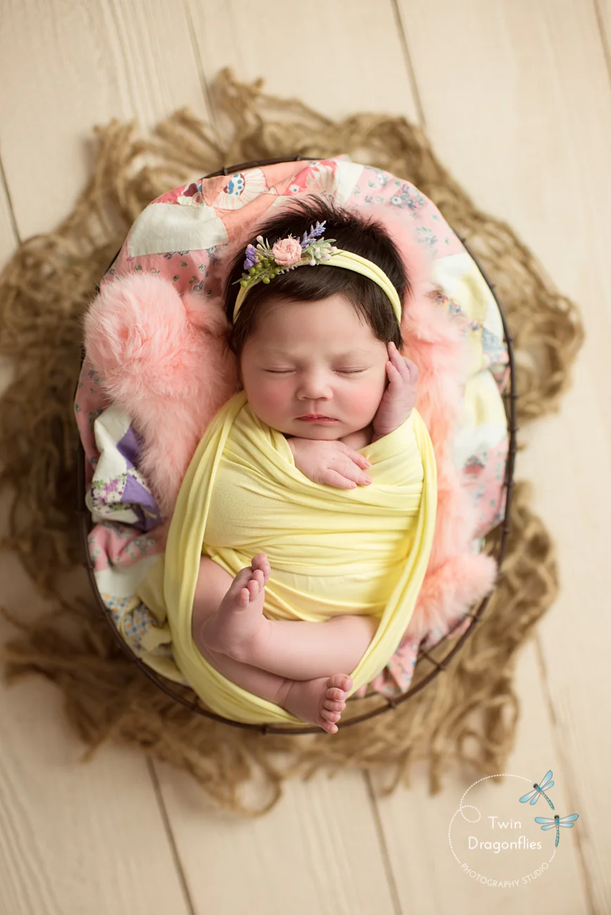 Bay Area Newborn Photography, San Jose Newborn Photographer